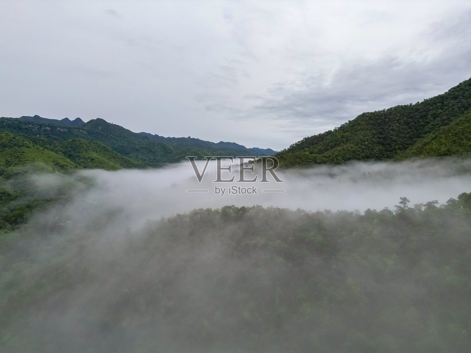 空中俯瞰的森林树木与雾雾和绿色的小山在日落。泰国的自然景观背景。照片摄影图片