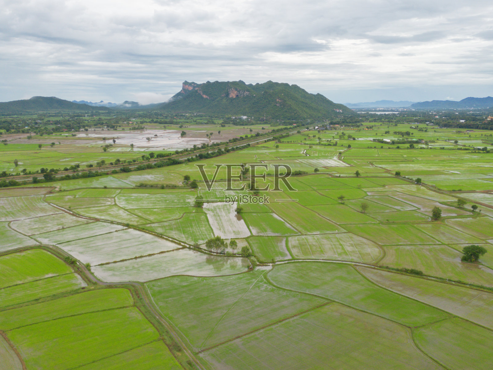 空中俯瞰的稻田梯田与水的反射，农村的绿色农田，山丘陵山谷，巴蓬坪，清迈，泰国。自然景观。农作物的收成。照片摄影图片