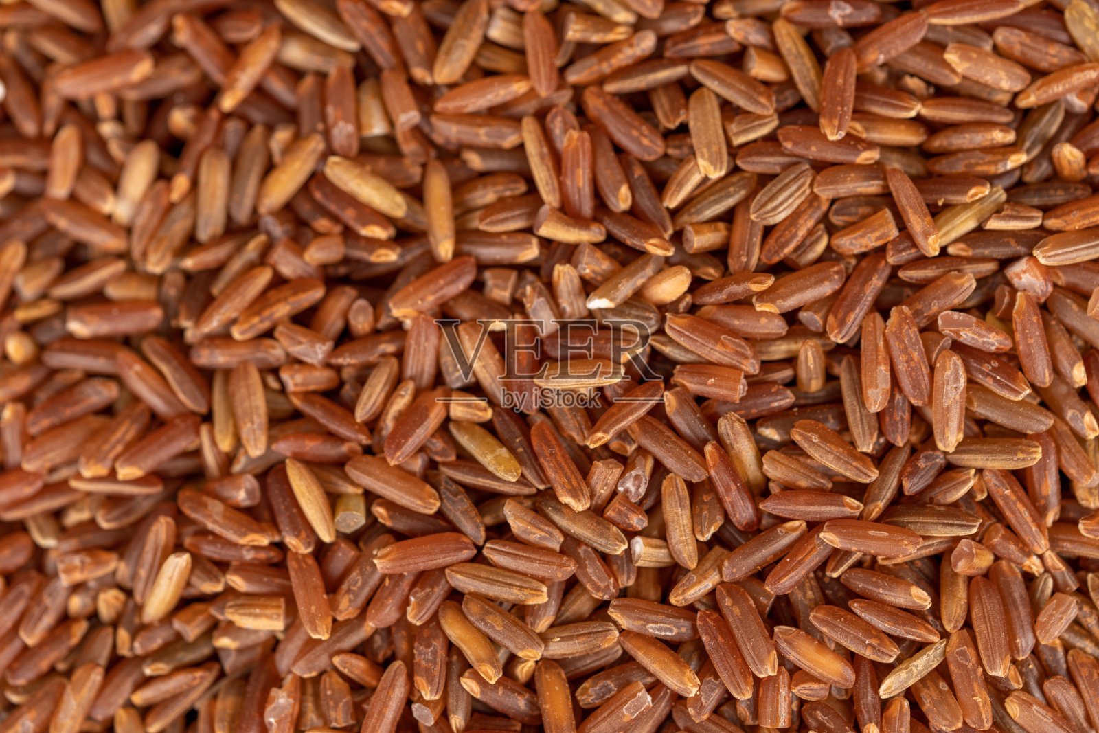 红米特写照片摄影图片