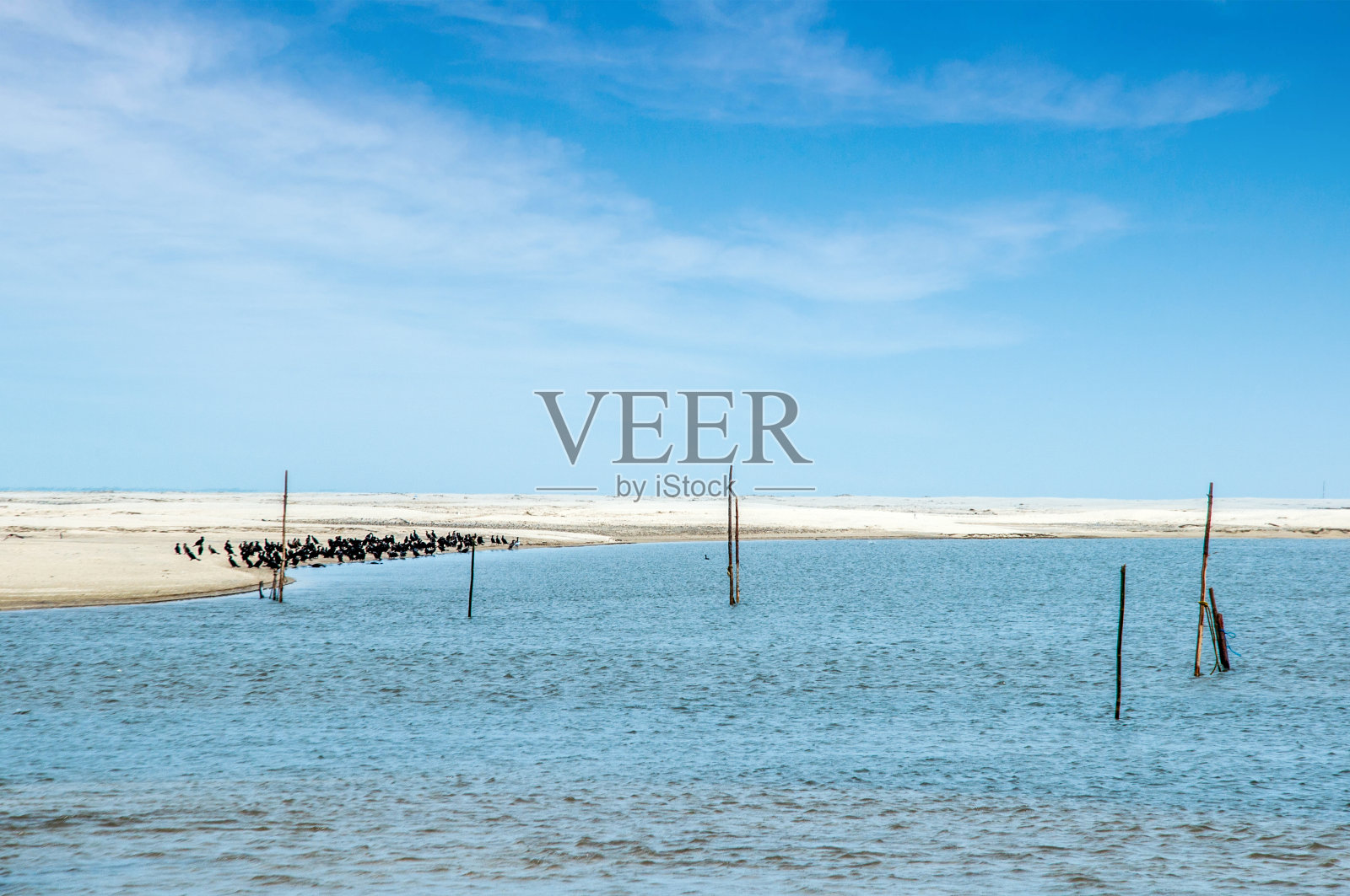 池塘的美丽景色照片摄影图片