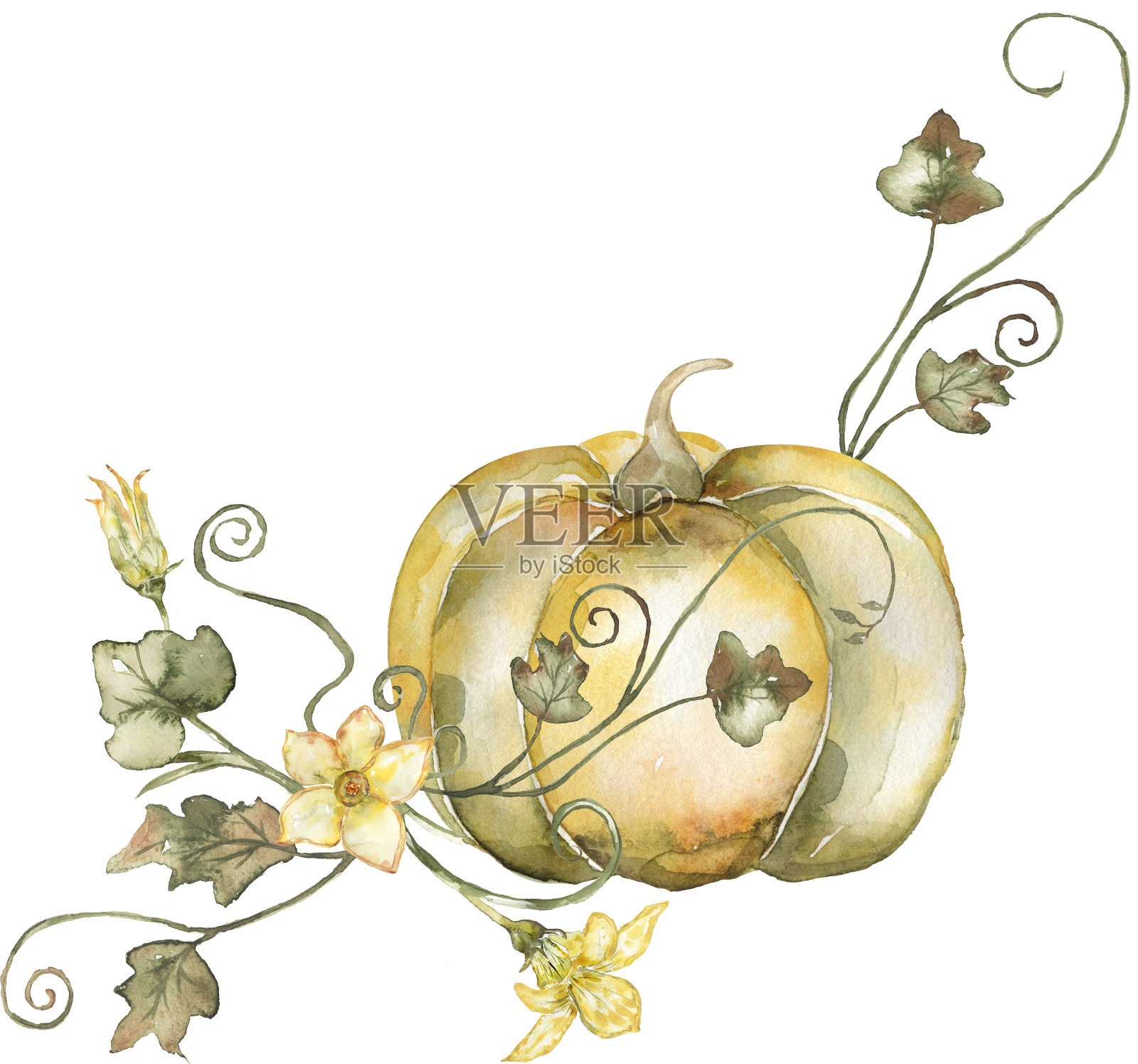 水彩收获场景与南瓜和离开和花束剪纸。秋季装饰构图为感恩节，秋季布置卡片，乡村花园插画插画图片素材