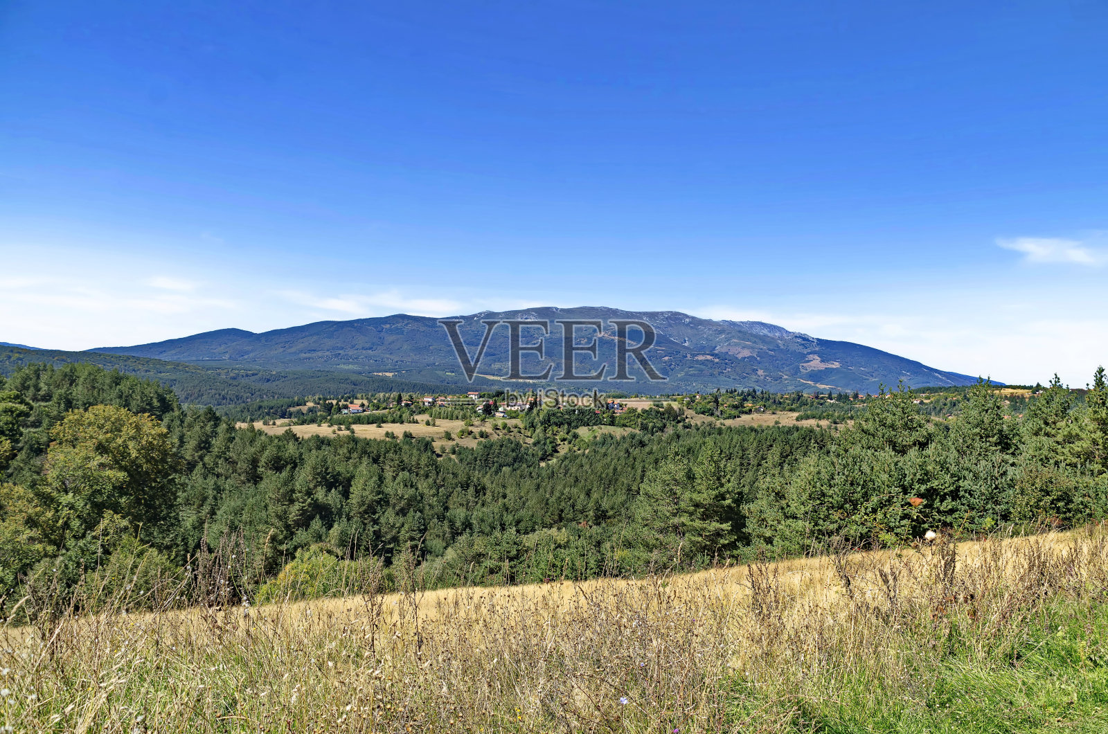 秋天的草地，森林和位于普拉纳山上的保加利亚普拉纳村的住宅区照片摄影图片