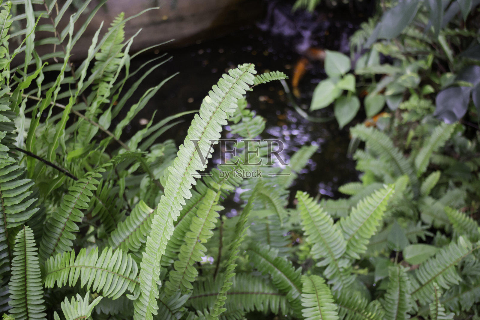 咖啡店的现代外观照片摄影图片