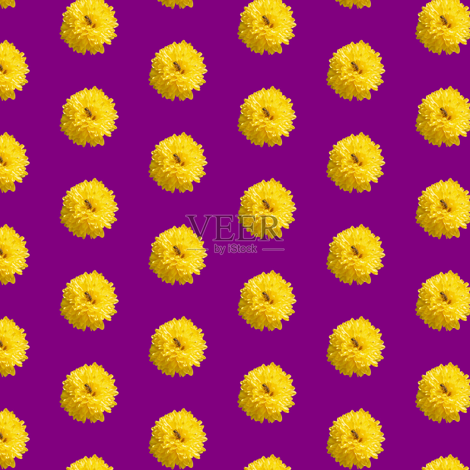 图案与菊花在网格上紫罗兰的背景。花卉背景与几何网格元素照片摄影图片