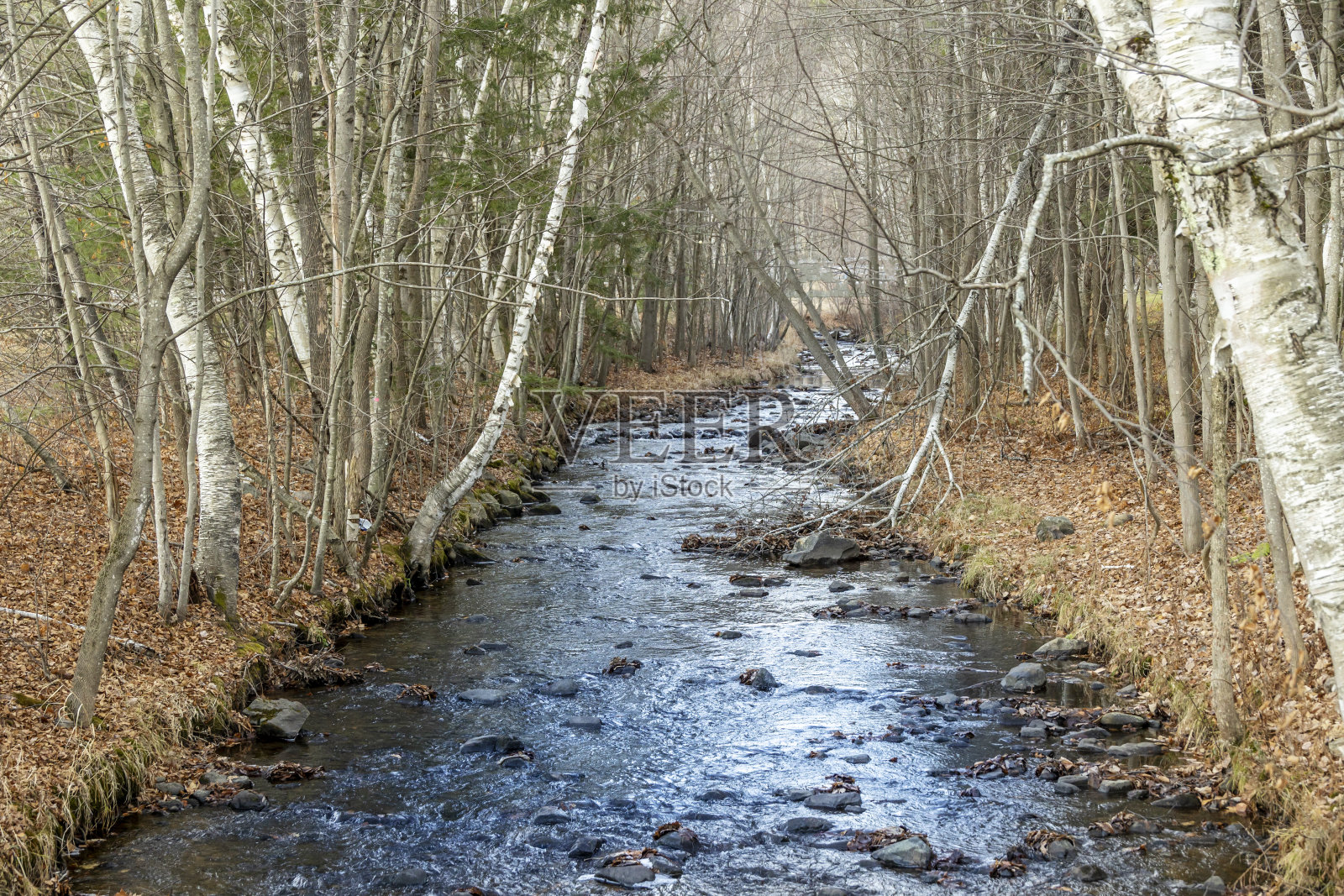 蓝色的河流穿过中间穿过冬天的森林照片摄影图片