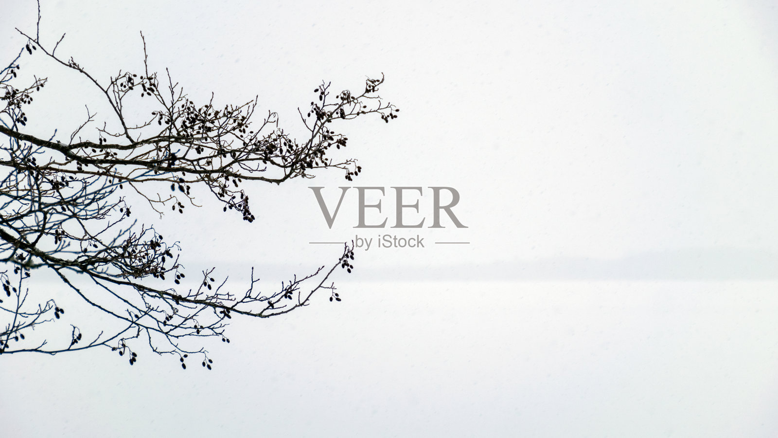 灰蒙蒙的冬季景观，飘落的雪花模糊了背景，树木的碎片照片摄影图片