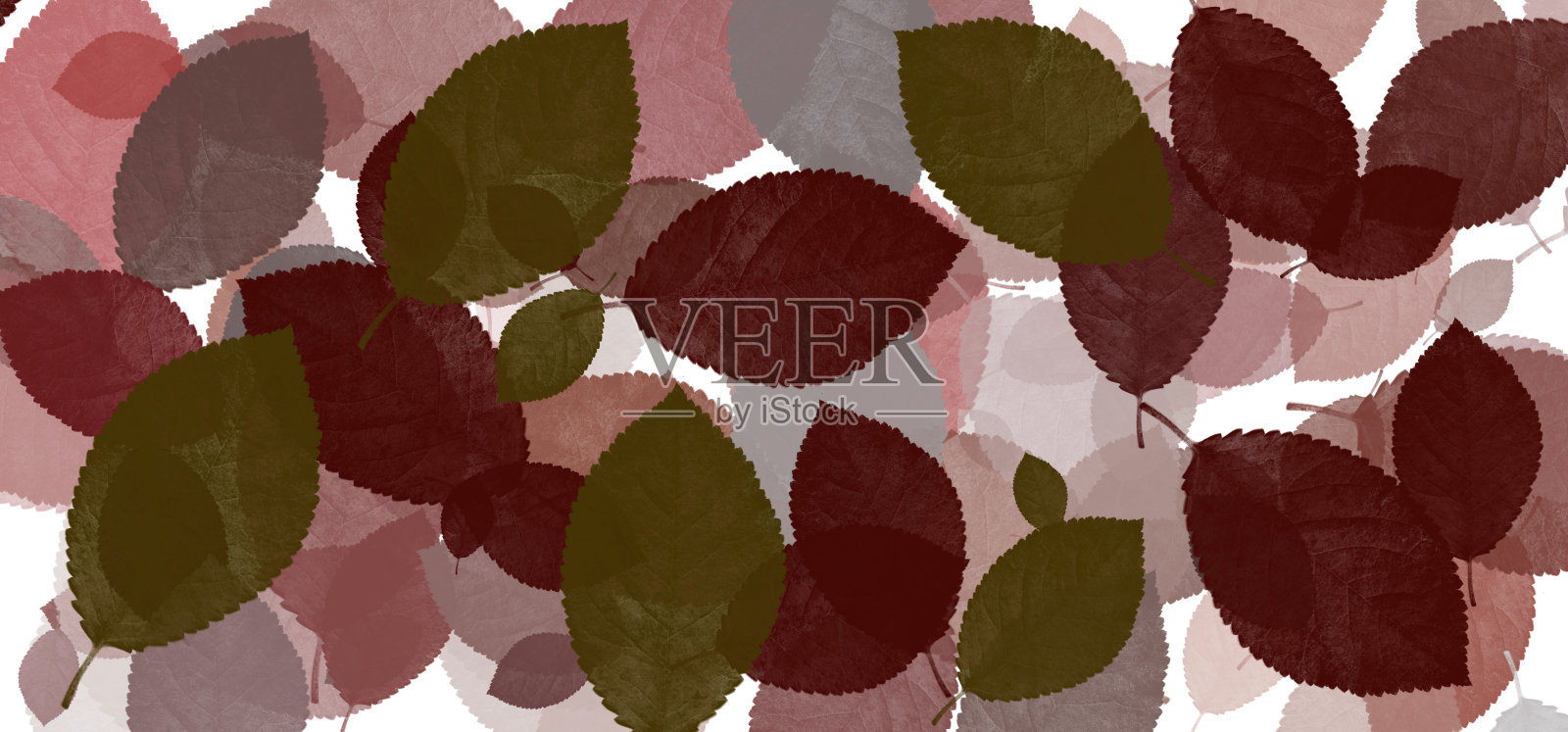 秋天秋天抽象的背景照片摄影图片