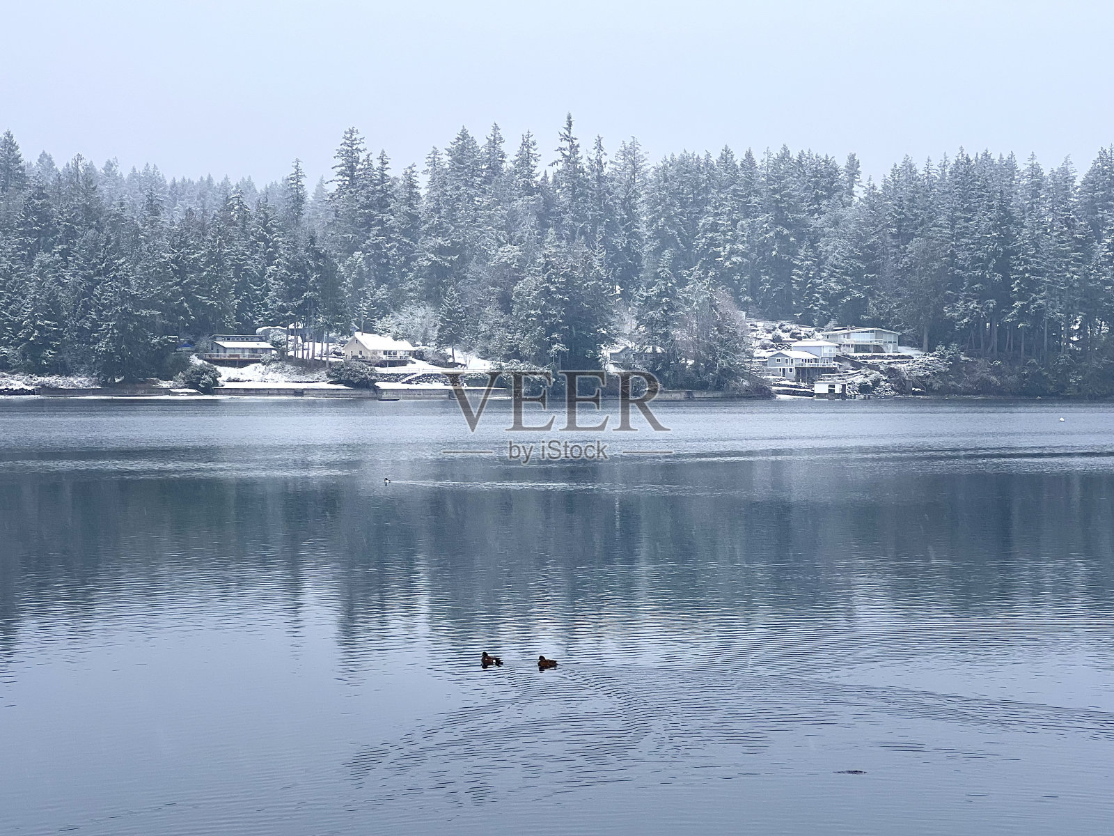 华盛顿州的Seabeck Landing照片摄影图片