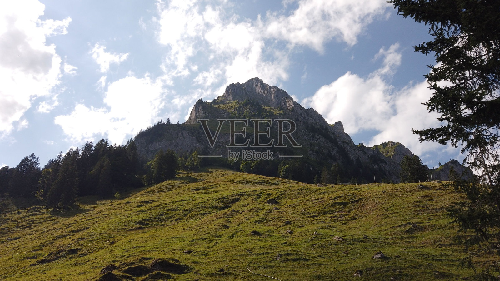 在一个阳光明媚的日子里，被绿色植物包围的岩石山的风景照片摄影图片