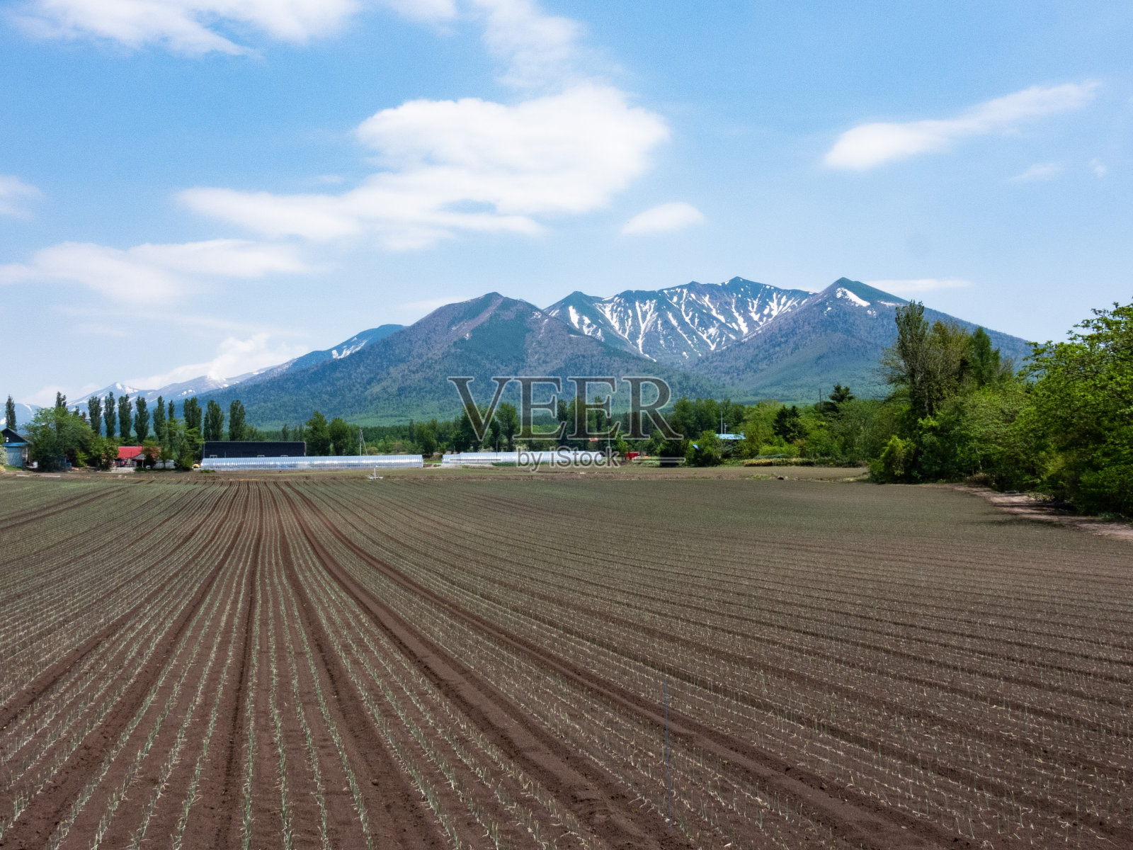 春天的田野和富良野山照片摄影图片