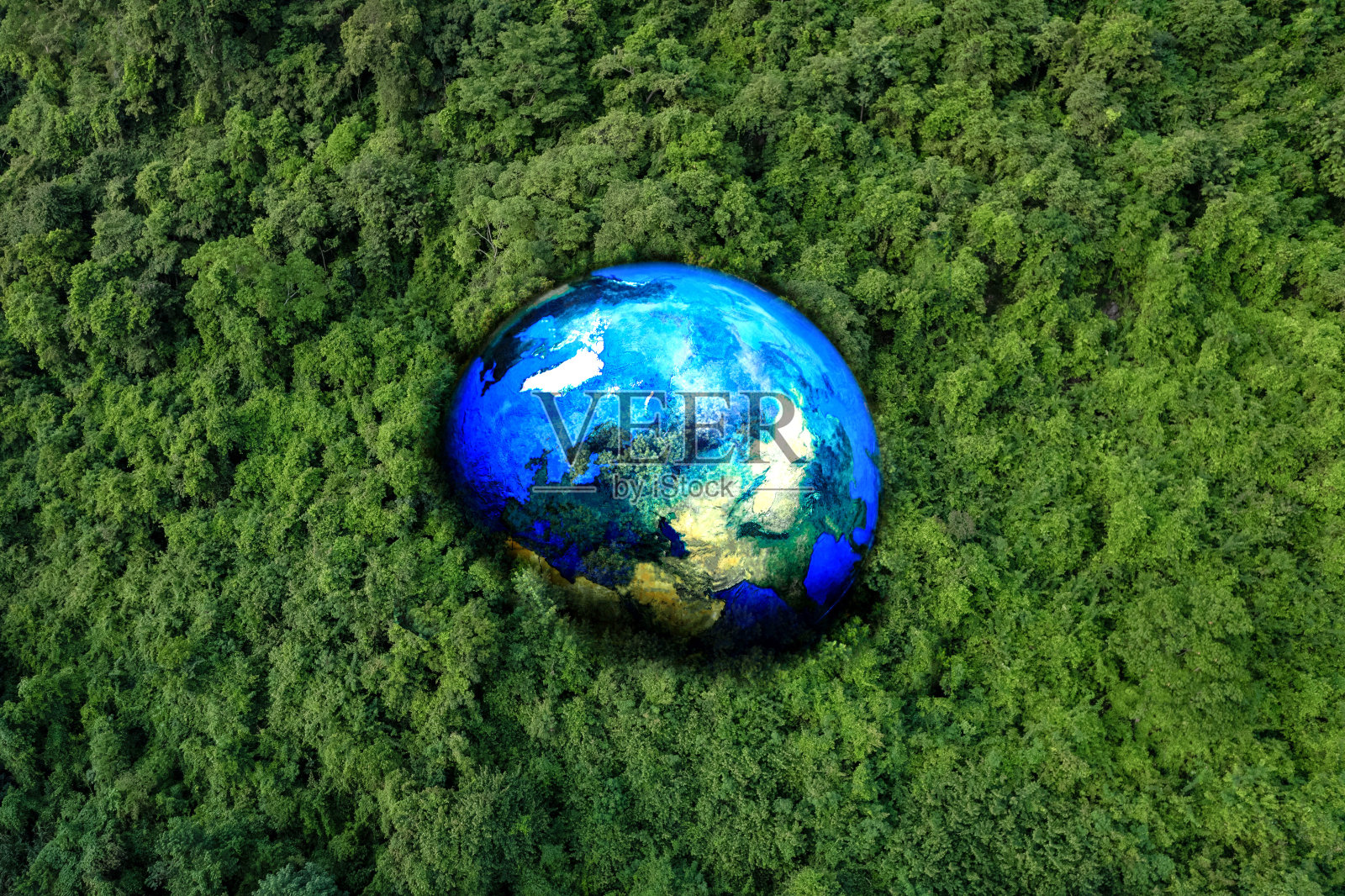 保护上面的生态系统和自然环境，拯救世界，植树造林，减少全球变暖的理念。照片摄影图片