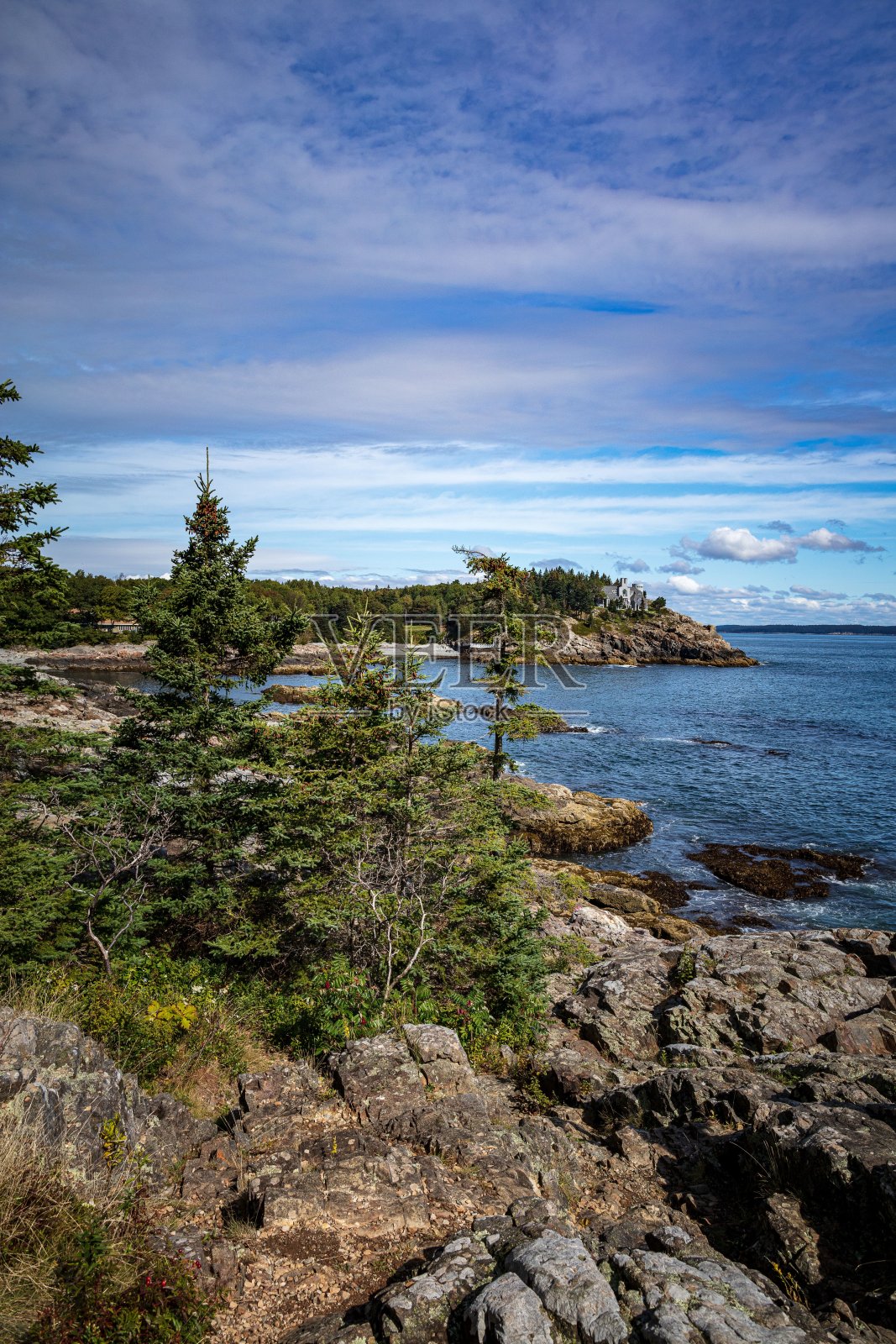 垂直拍摄的岩石海岸与树木在多云的天空照片摄影图片