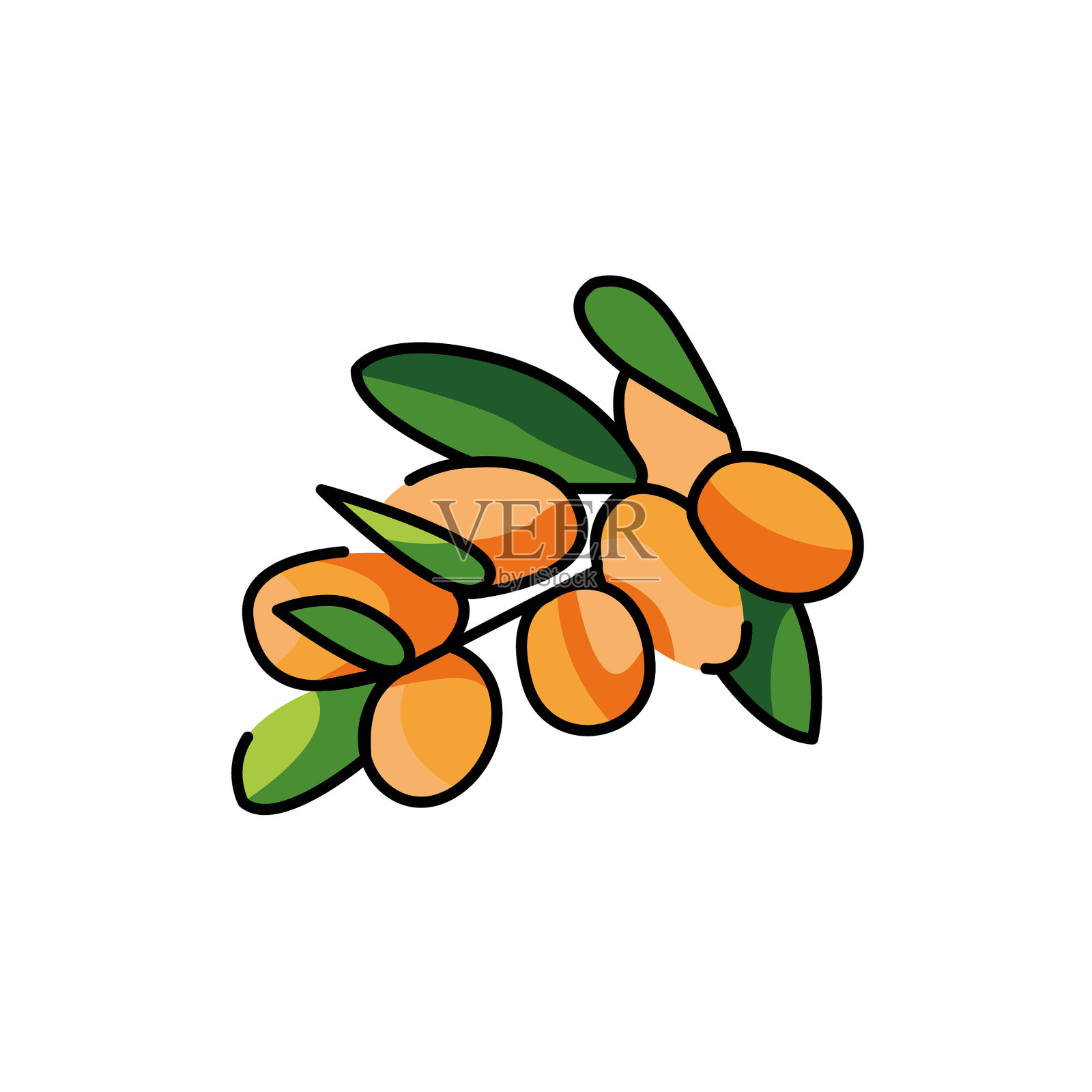 坚果植物植物颜色线图标象形图设计元素图片