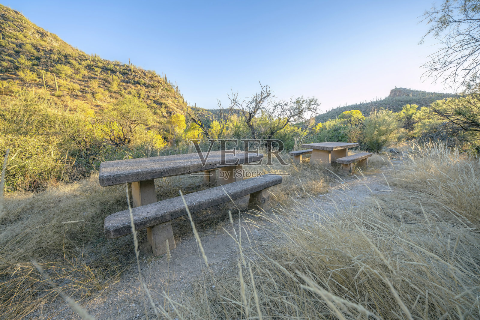 亚利桑那州萨比诺峡谷的一条徒步小径上的野餐桌和长凳照片摄影图片