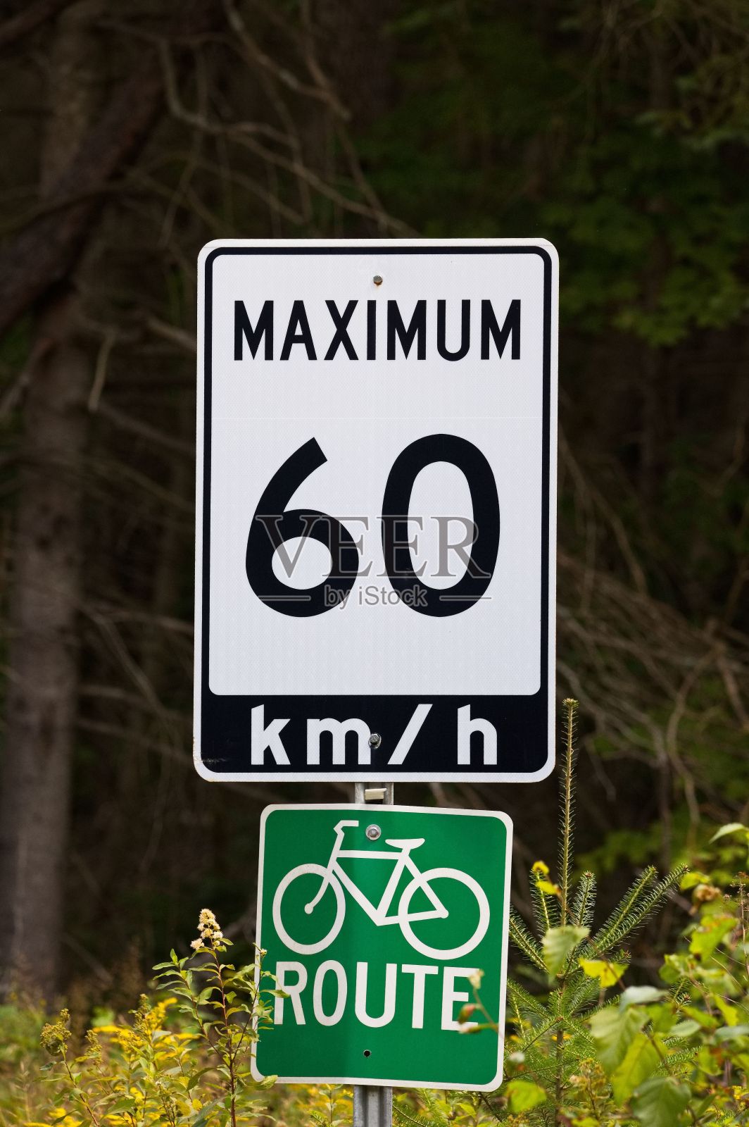 近距离垂直拍摄速度标志标志，自行车路线在一个落后的国家土路照片摄影图片