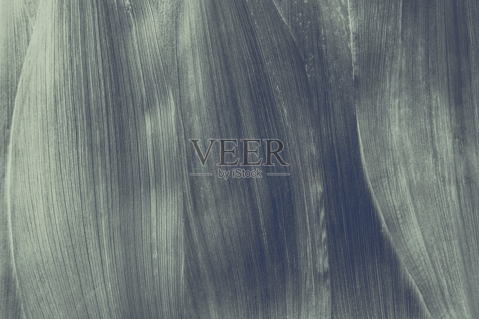 抽象的背景。照片摄影图片