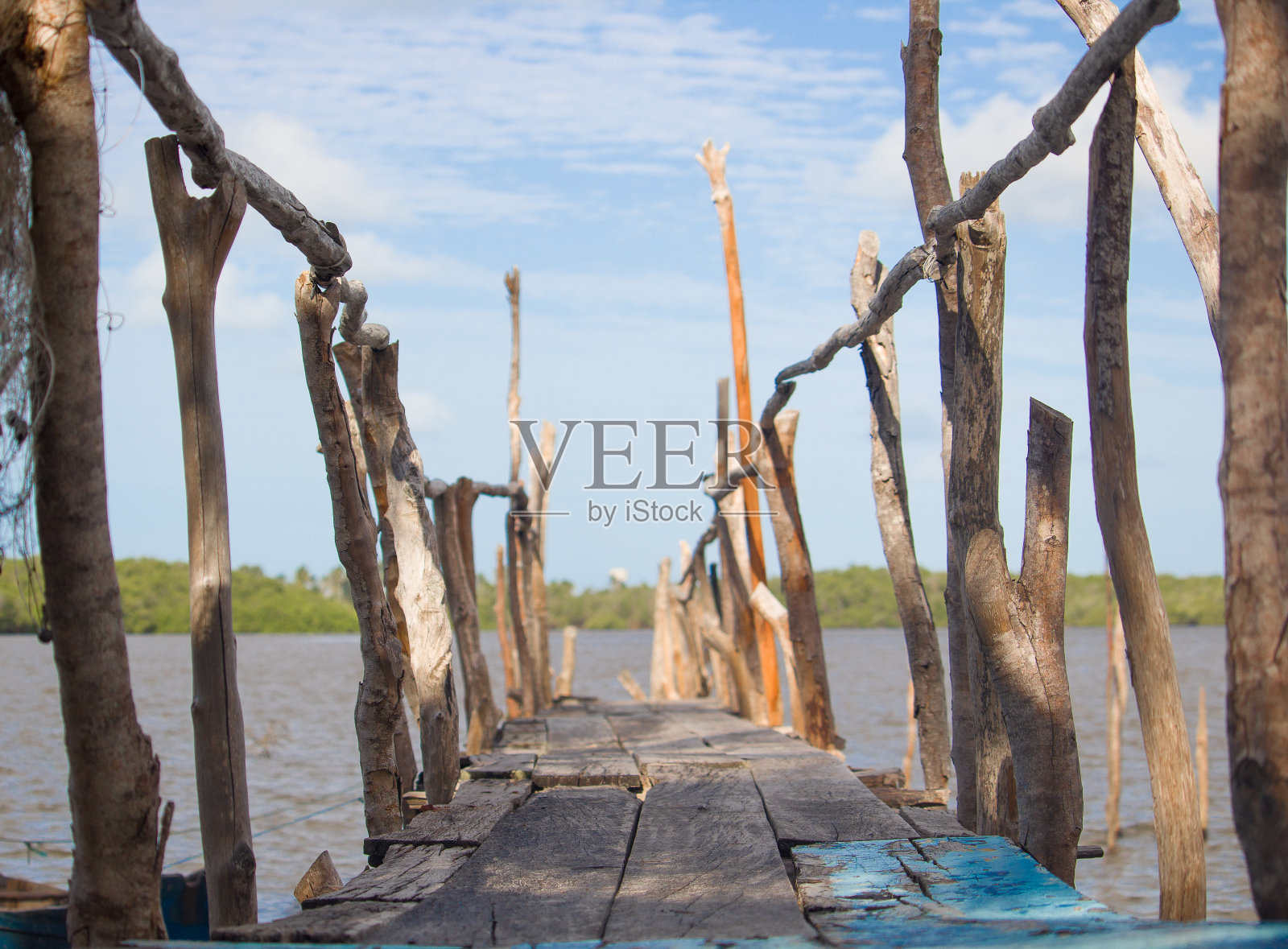 废弃木码头照片摄影图片