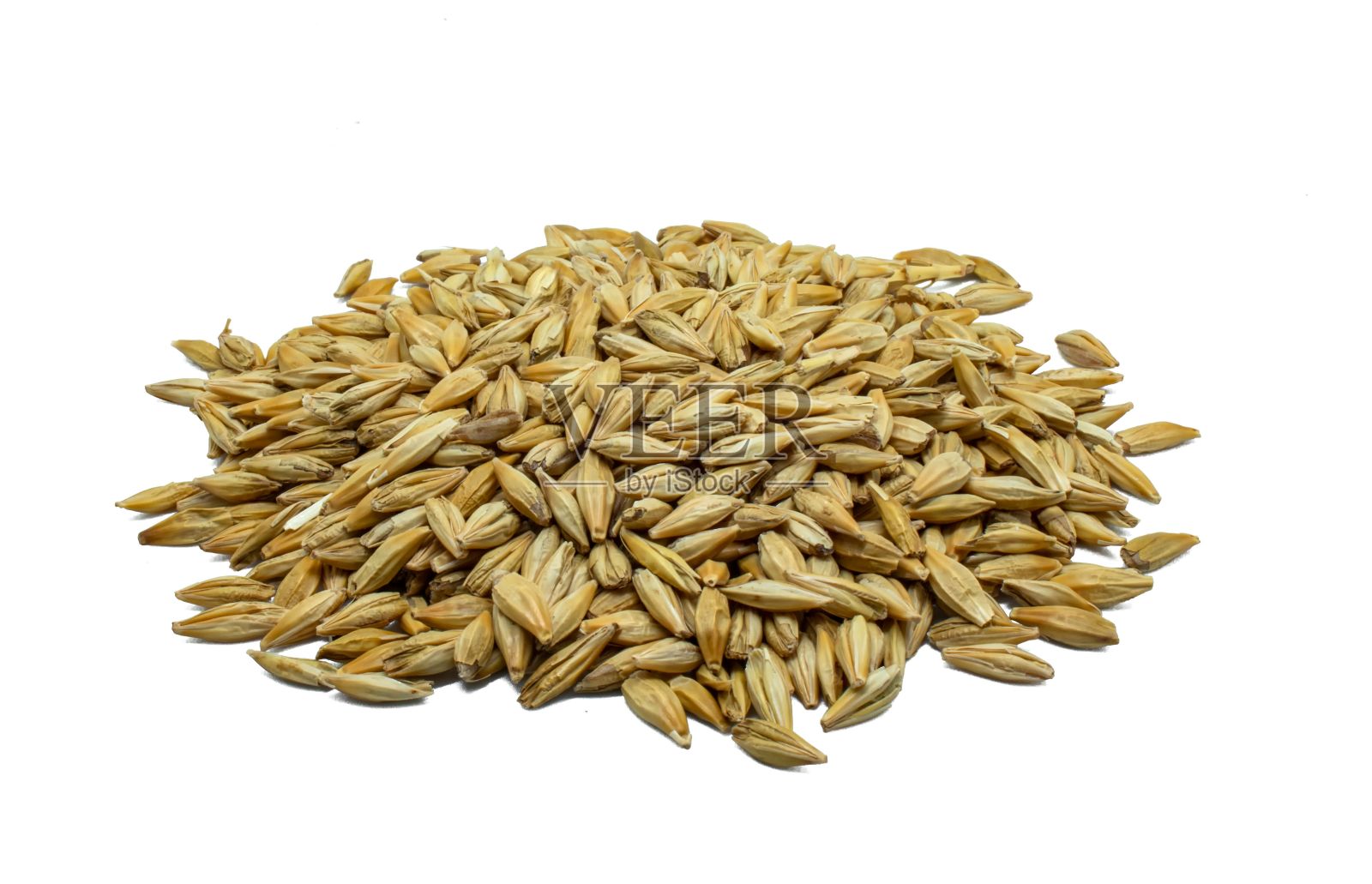 特写镜头，一堆黄色的大麦谷物孤立在白色背景上照片摄影图片