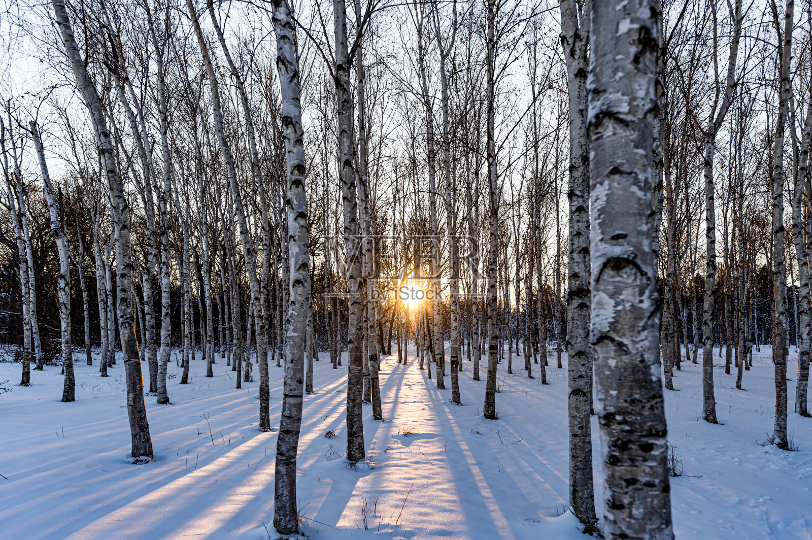 雪后的中国长春南湖公园景观照片摄影图片