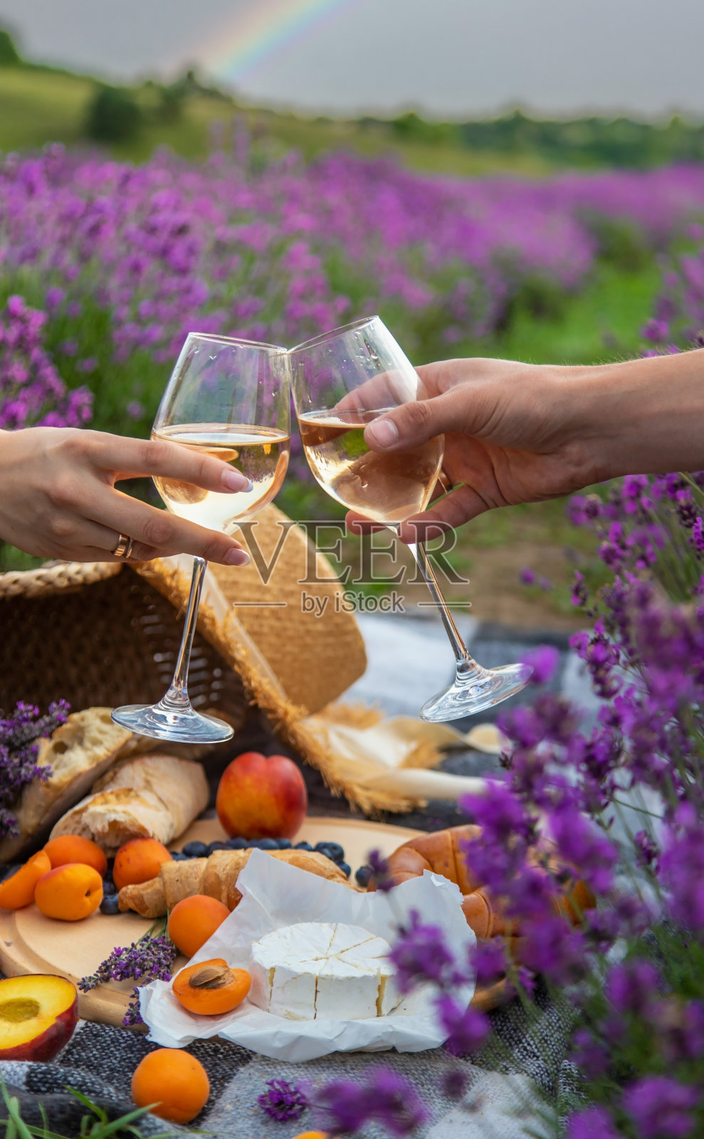 在薰衣草地里野餐的背景中，一个男人和一个女孩正拿着酒杯。照片摄影图片
