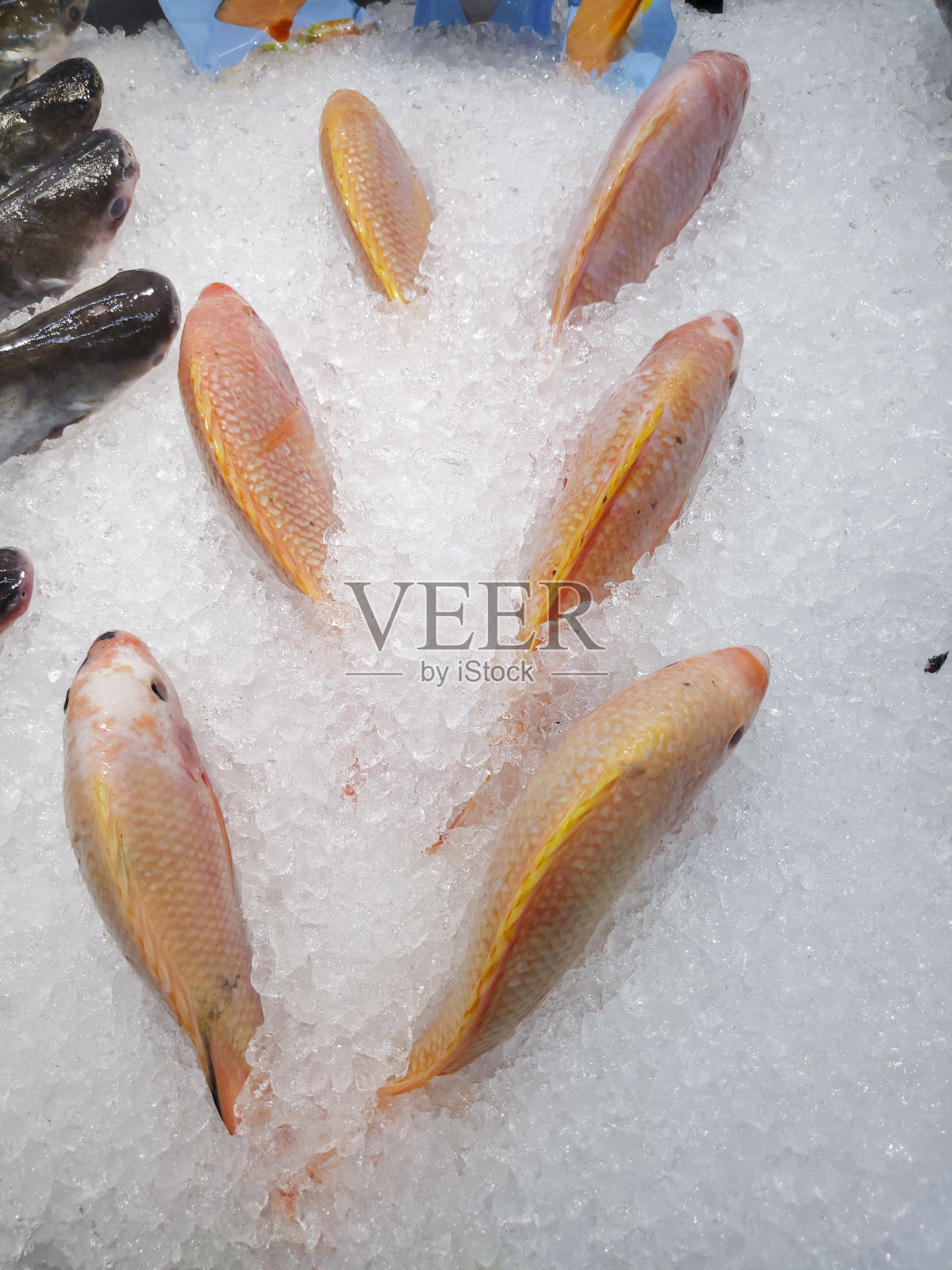 放在冰上的鱼照片摄影图片