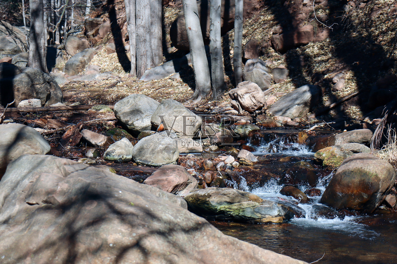 岩石上生长的树木照片摄影图片