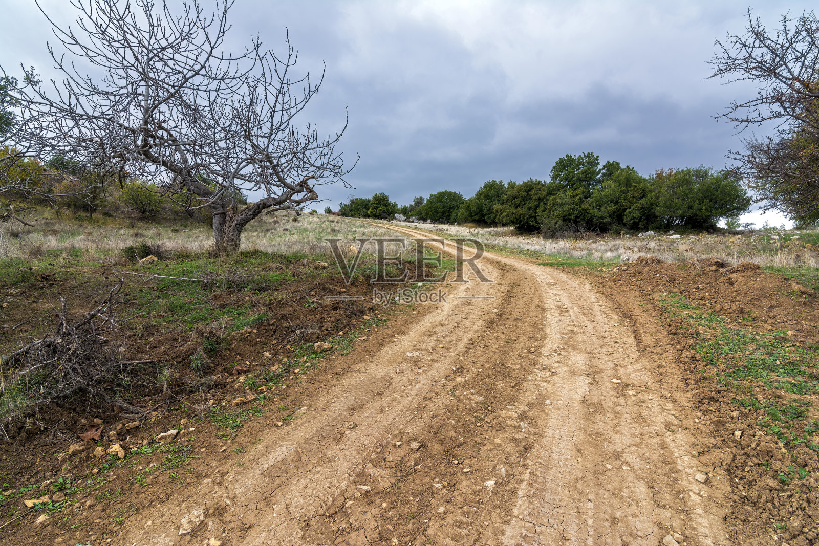 乡村道路在秋日的山间，山坡上绿树成荫。照片摄影图片