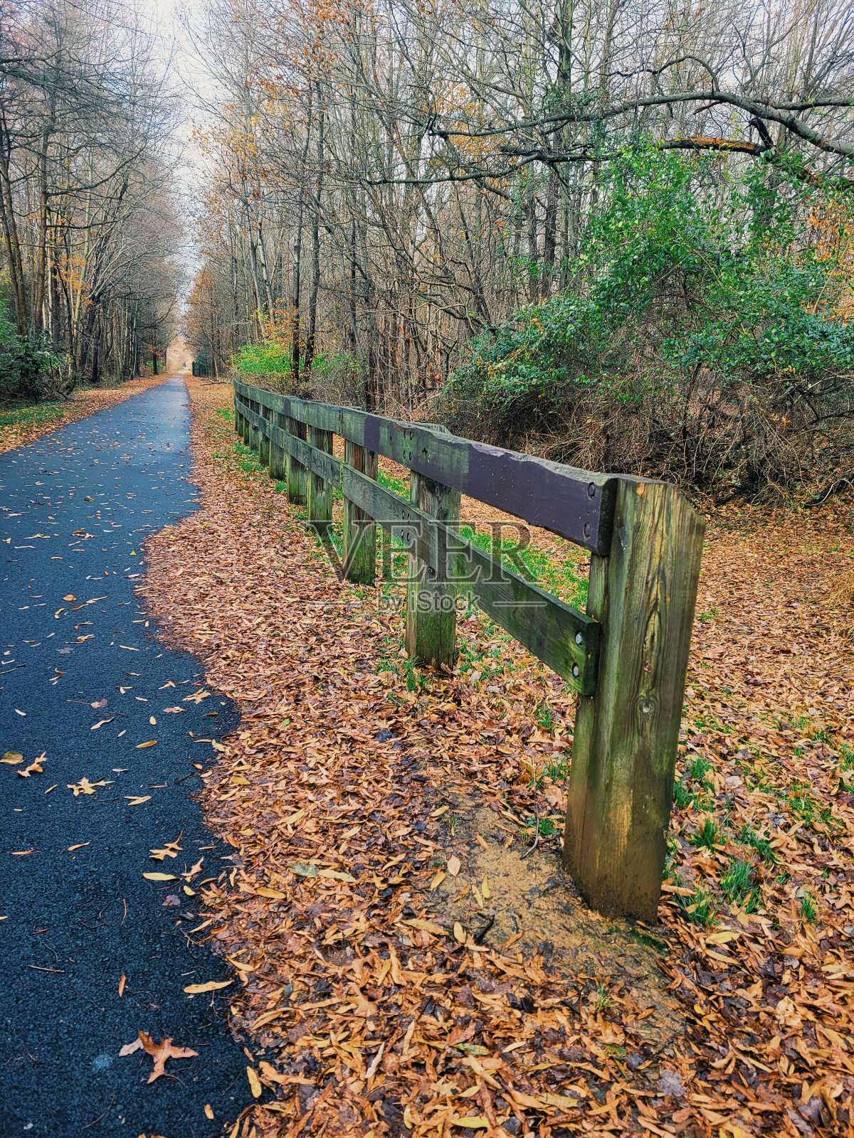 路径照片摄影图片