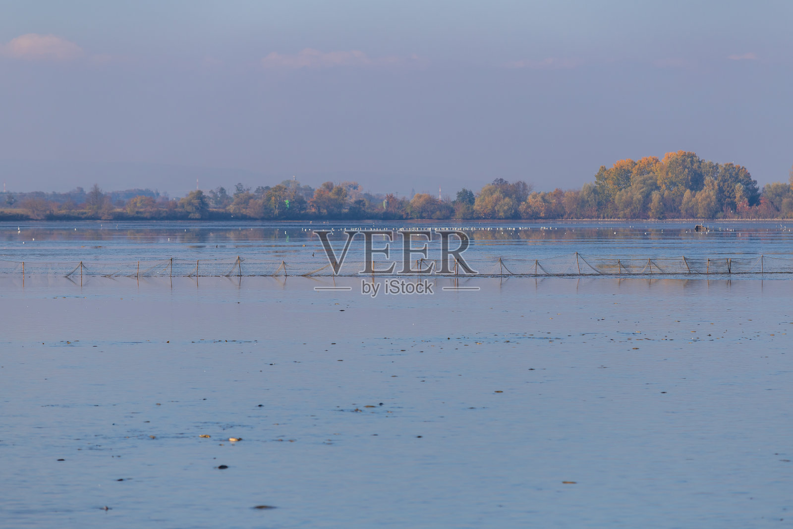 池塘周围的风景。排干的池塘捕鱼。照片摄影图片
