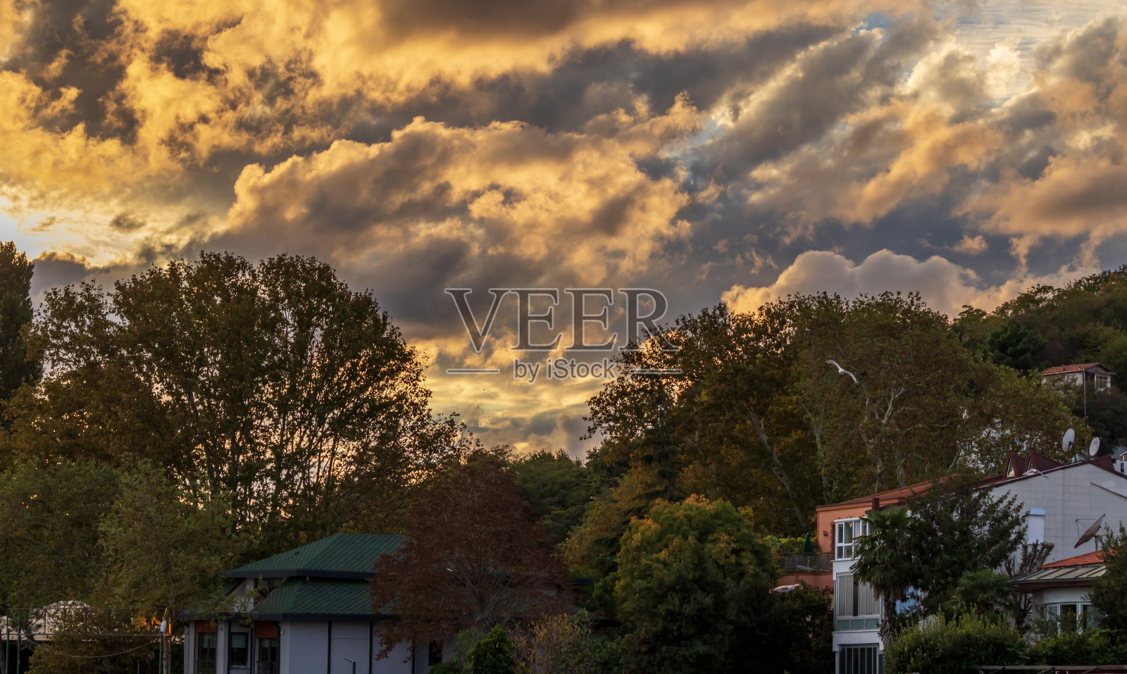 日落时分，天空中美丽的云笼罩着树木照片摄影图片