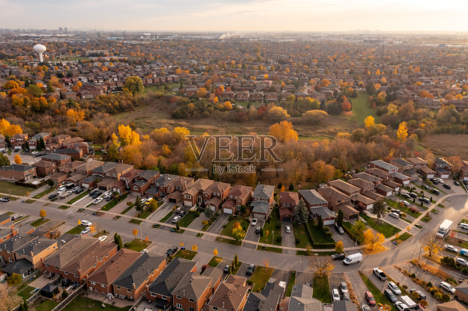 加拿大伍德布里奇卢瑟福路朗斯塔夫路社区公园的多色树叶照片摄影图片