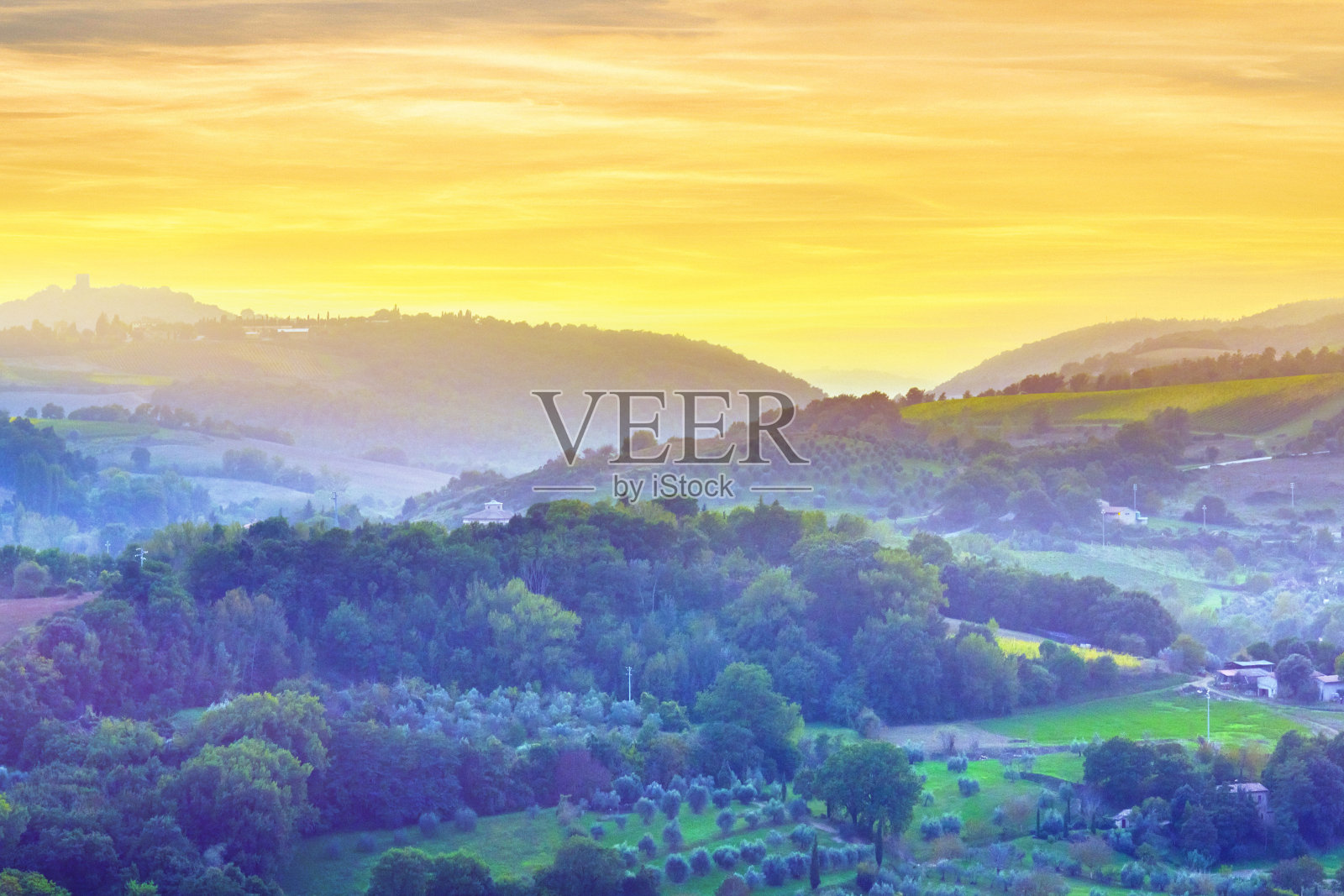 托斯卡纳的景观在日落橄榄树种植园照片摄影图片