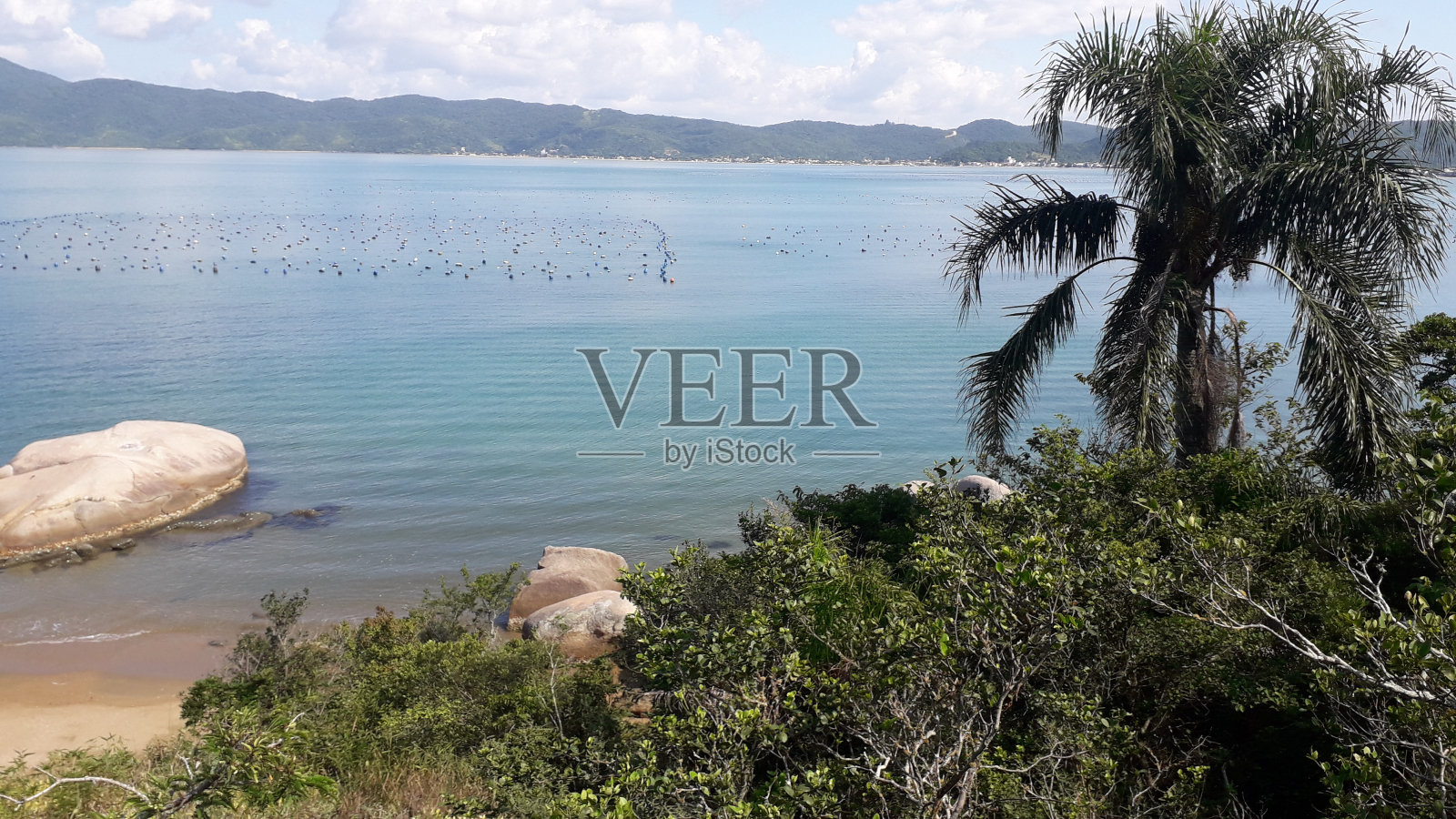 小海滩照片摄影图片