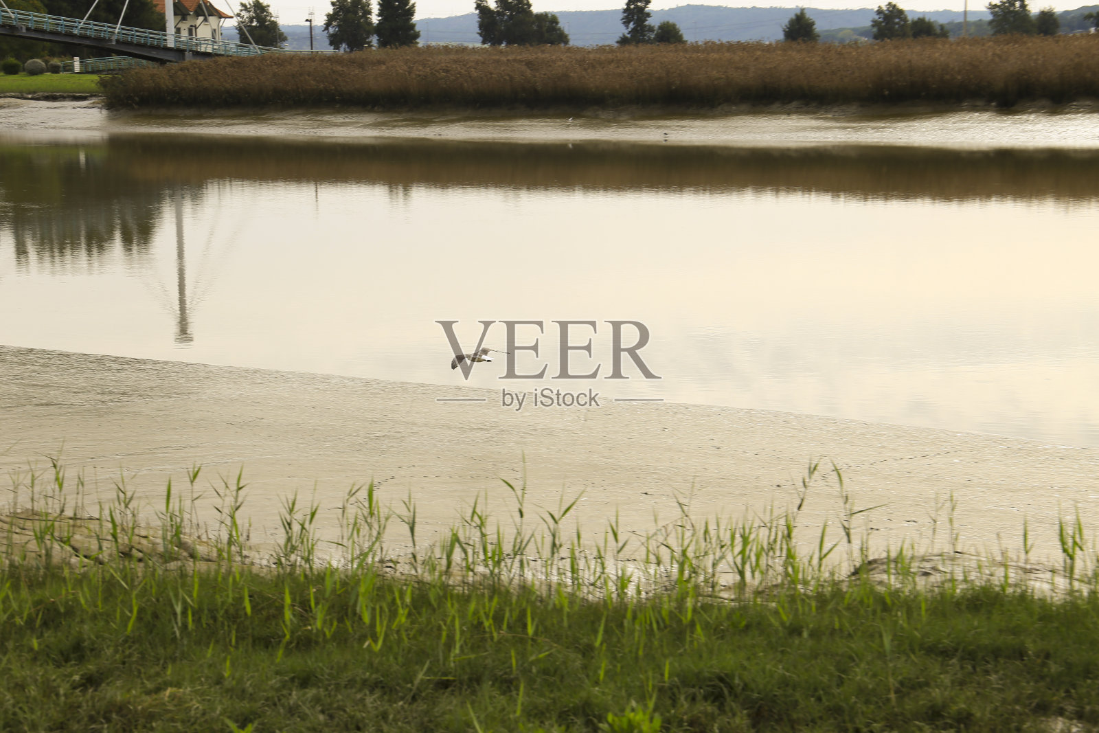 佐渡河河岸的美丽景色照片摄影图片