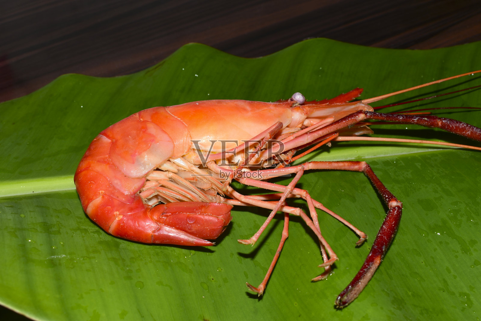 煮熟的虾放在绿叶上照片摄影图片