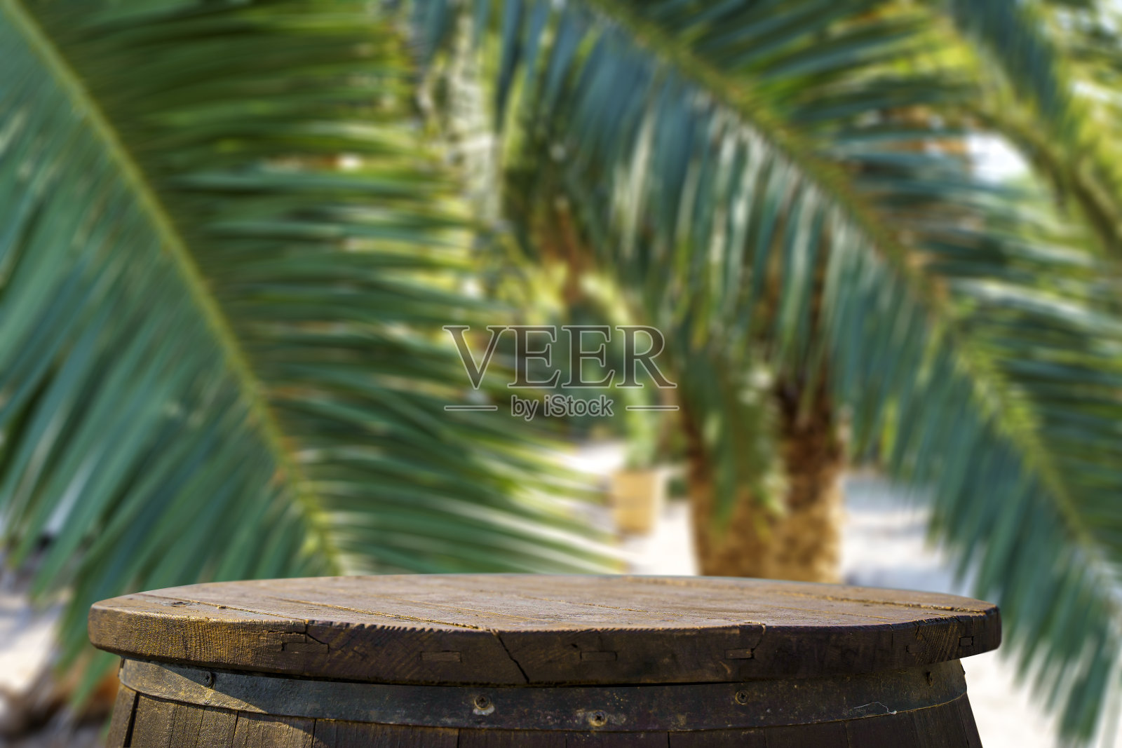 丛林桌背景。质朴的木桌，以热带植物、棕榈树和丛林为背景。照片摄影图片
