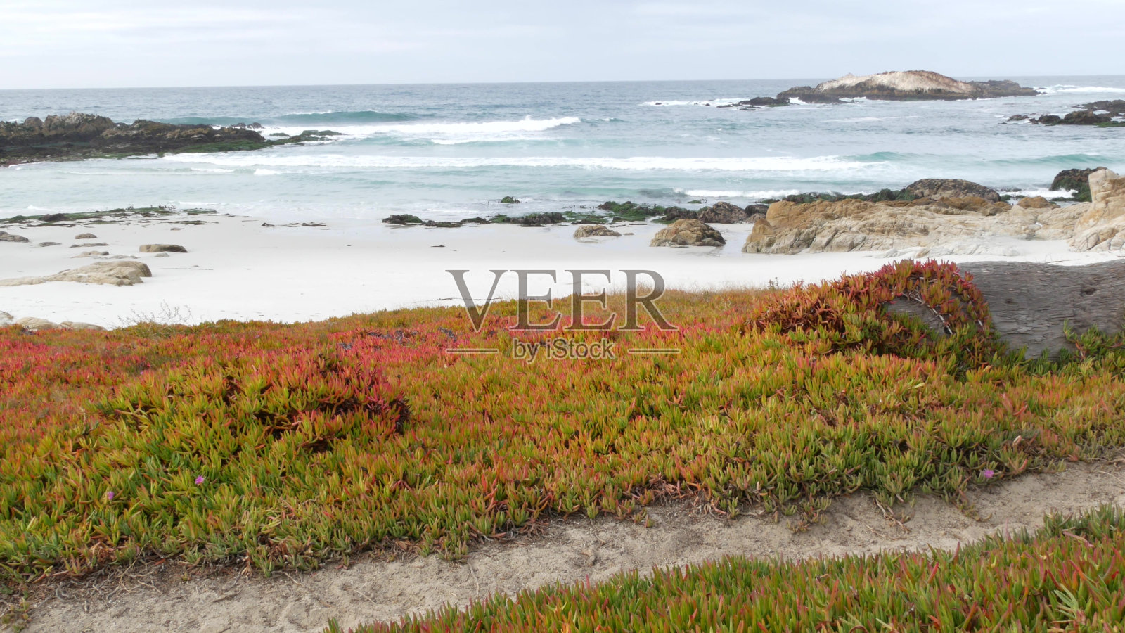 加州蒙特利，17英里车程。海岸岩石嶙峋，波涛汹涌。肉质植物照片摄影图片