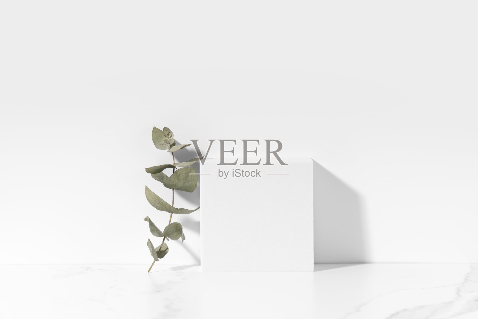 白色模板化妆品介绍与白色方形讲台结束桉树树枝在阳光下的白色背景。时髦的时装展示模型。照片摄影图片