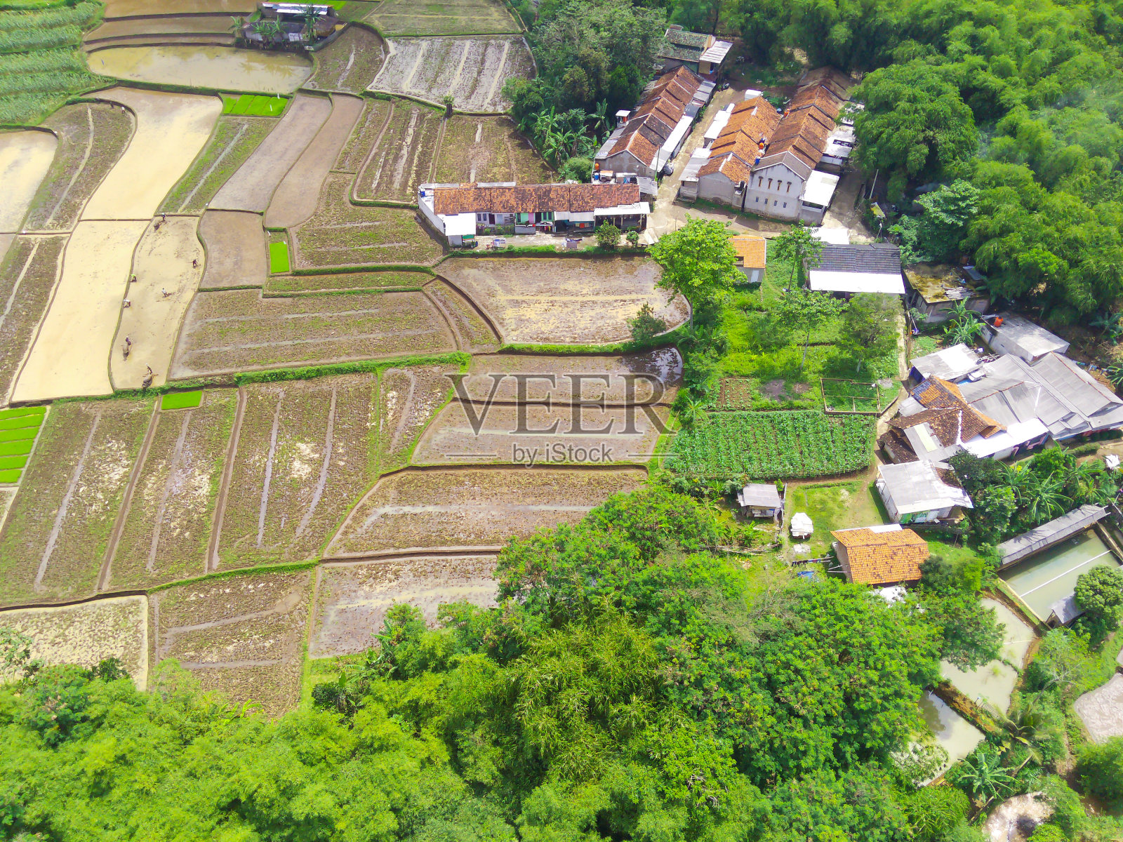 一个非常大的农业用地的地图照片摄影图片