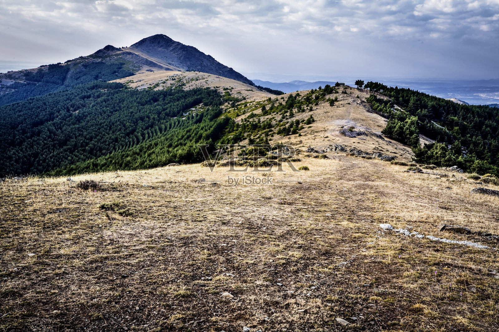 北塞拉照片摄影图片