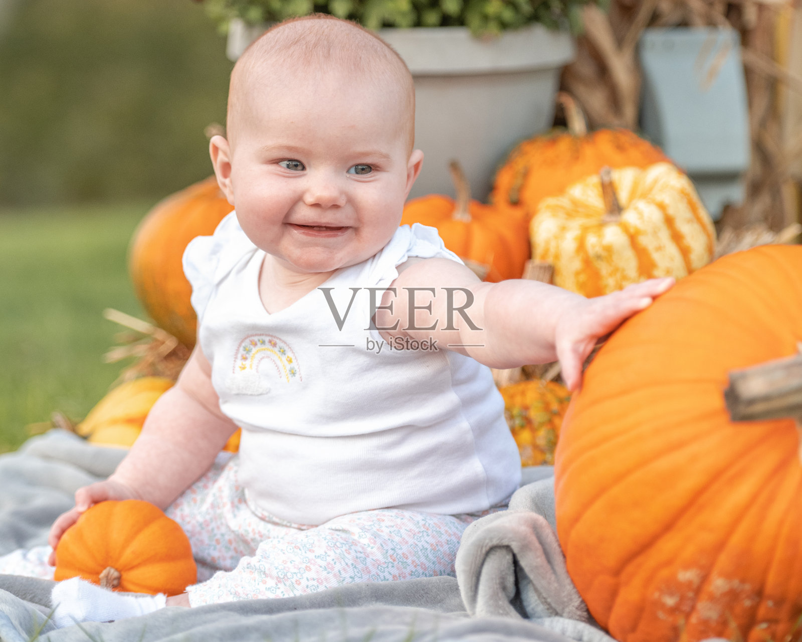 万圣节时，可爱的小宝宝坐在南瓜旁照片摄影图片
