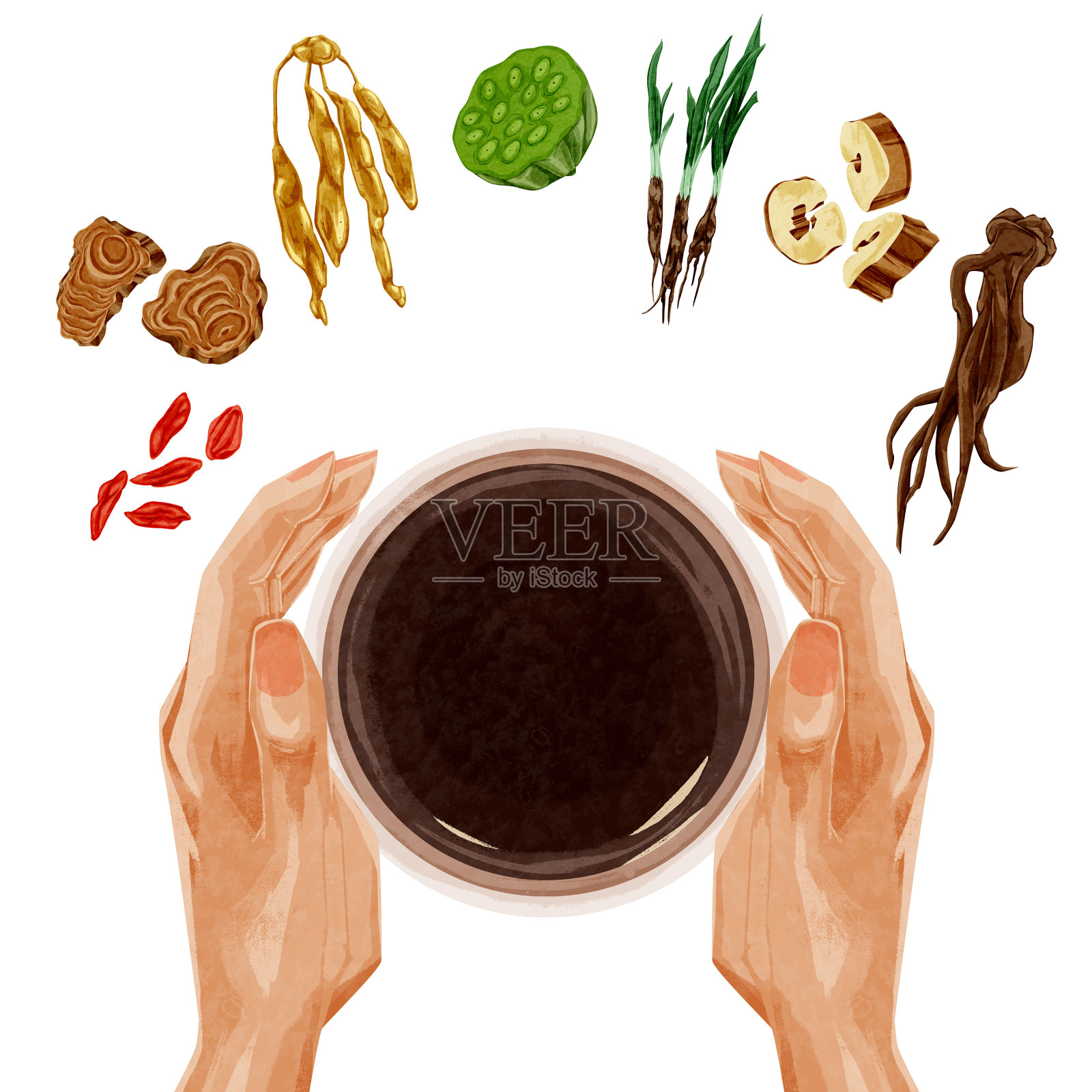 手绘水彩风格的中草药插图插画图片素材