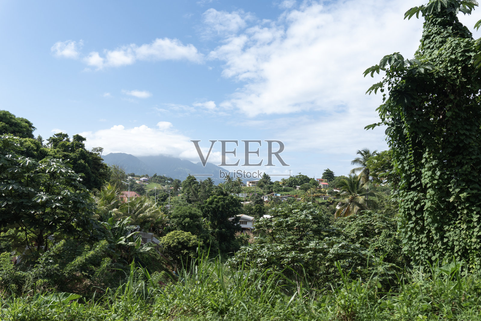 多云天，多米尼加加勒比岛的热带雨林，树木茂密照片摄影图片