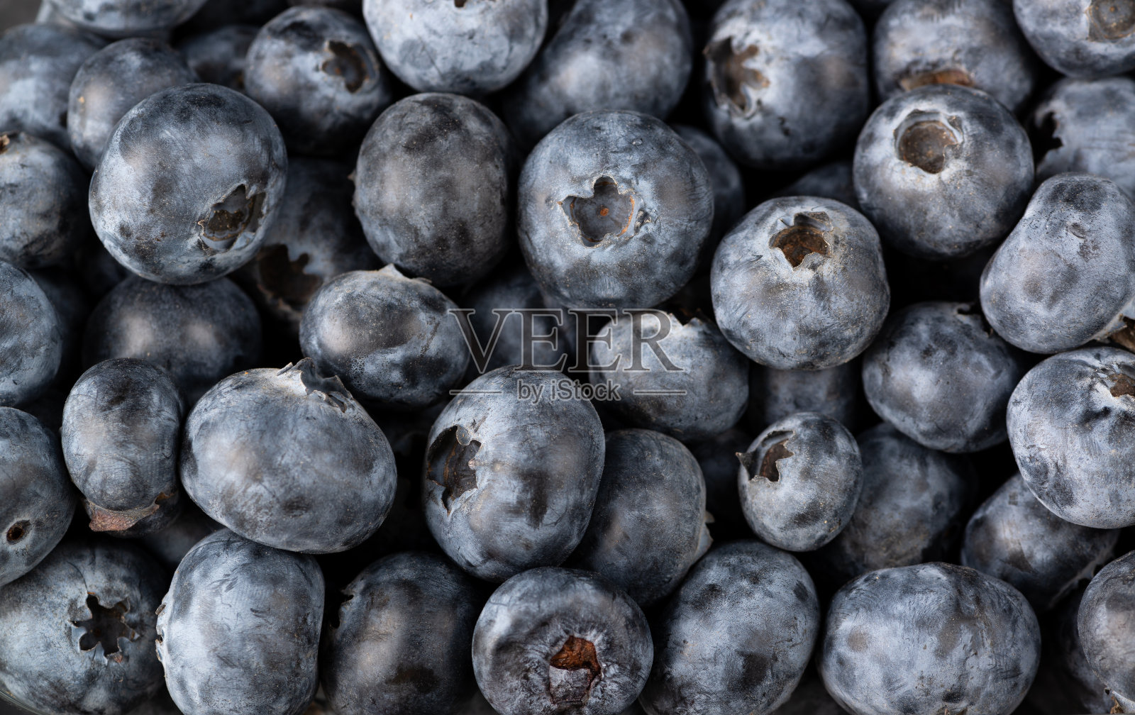 新鲜成熟的蓝莓配上露水。贝瑞背景照片摄影图片