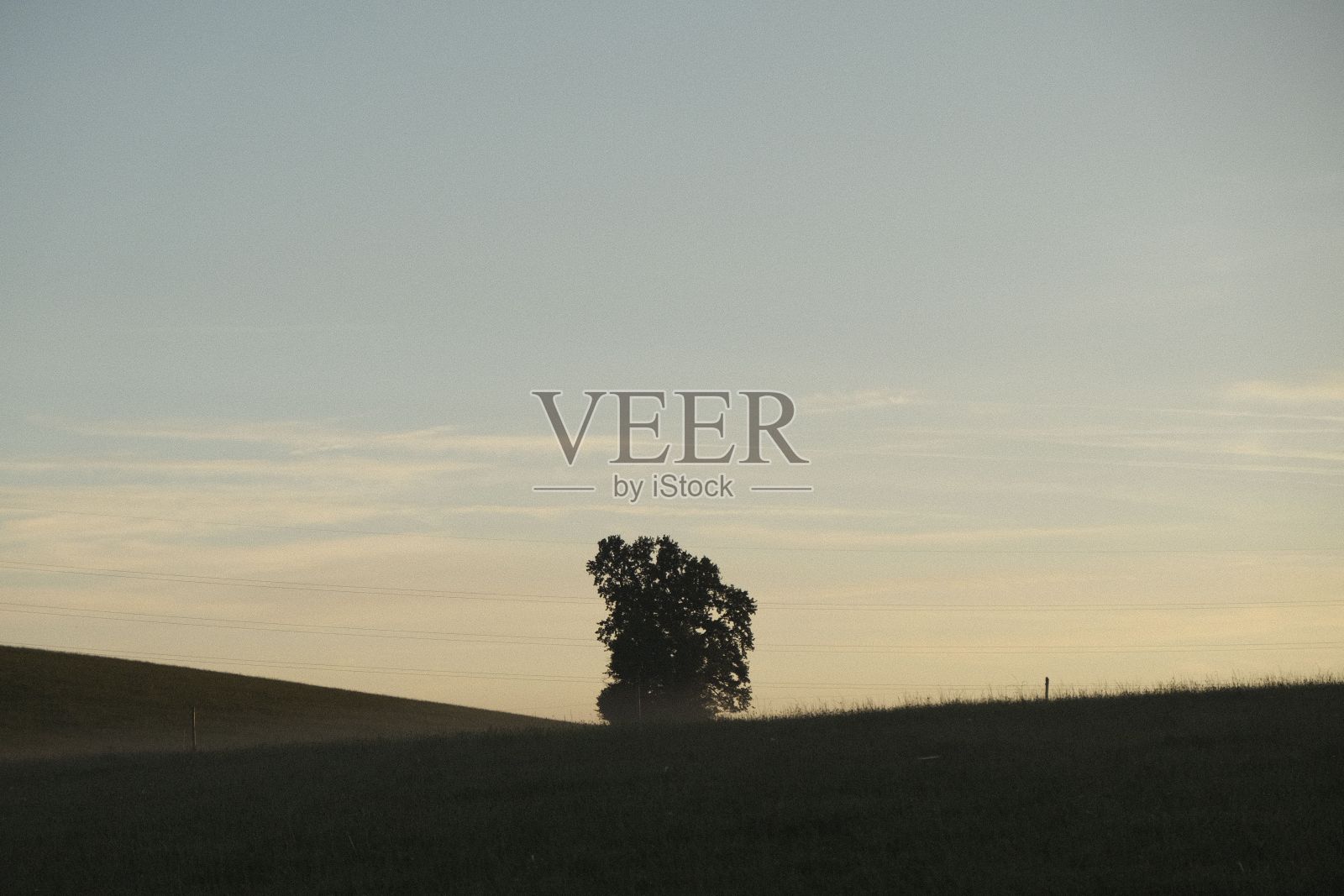 在日落期间生长的树木的绿色田野的鸟瞰图照片摄影图片