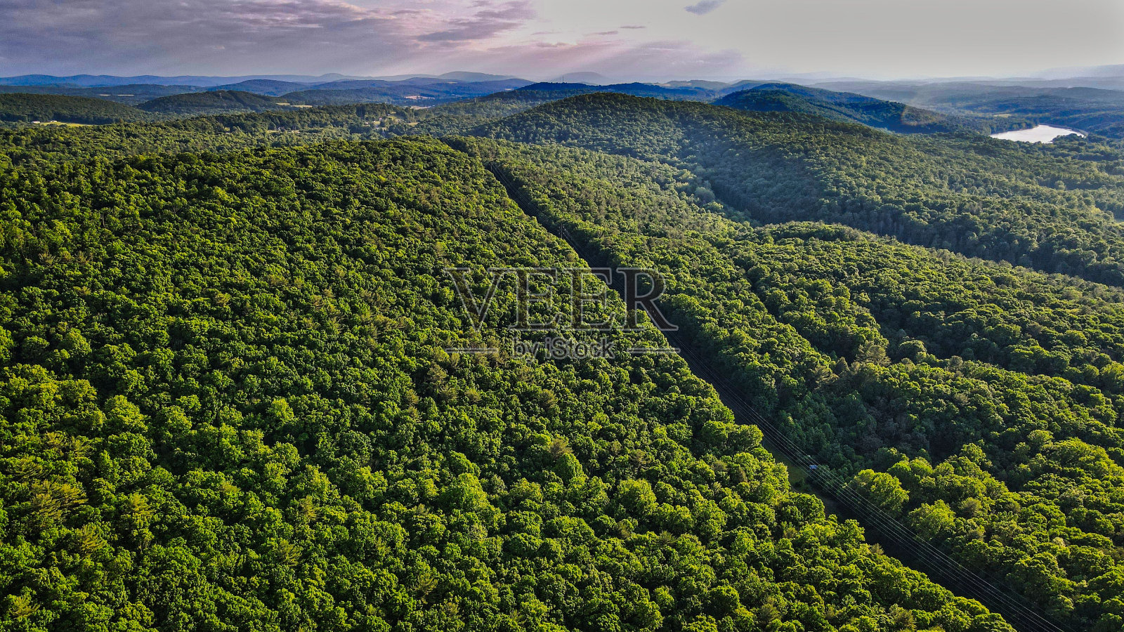 美丽的高角度视图，茂密的森林与明亮的绿色树木在一个阳光灿烂的日子照片摄影图片