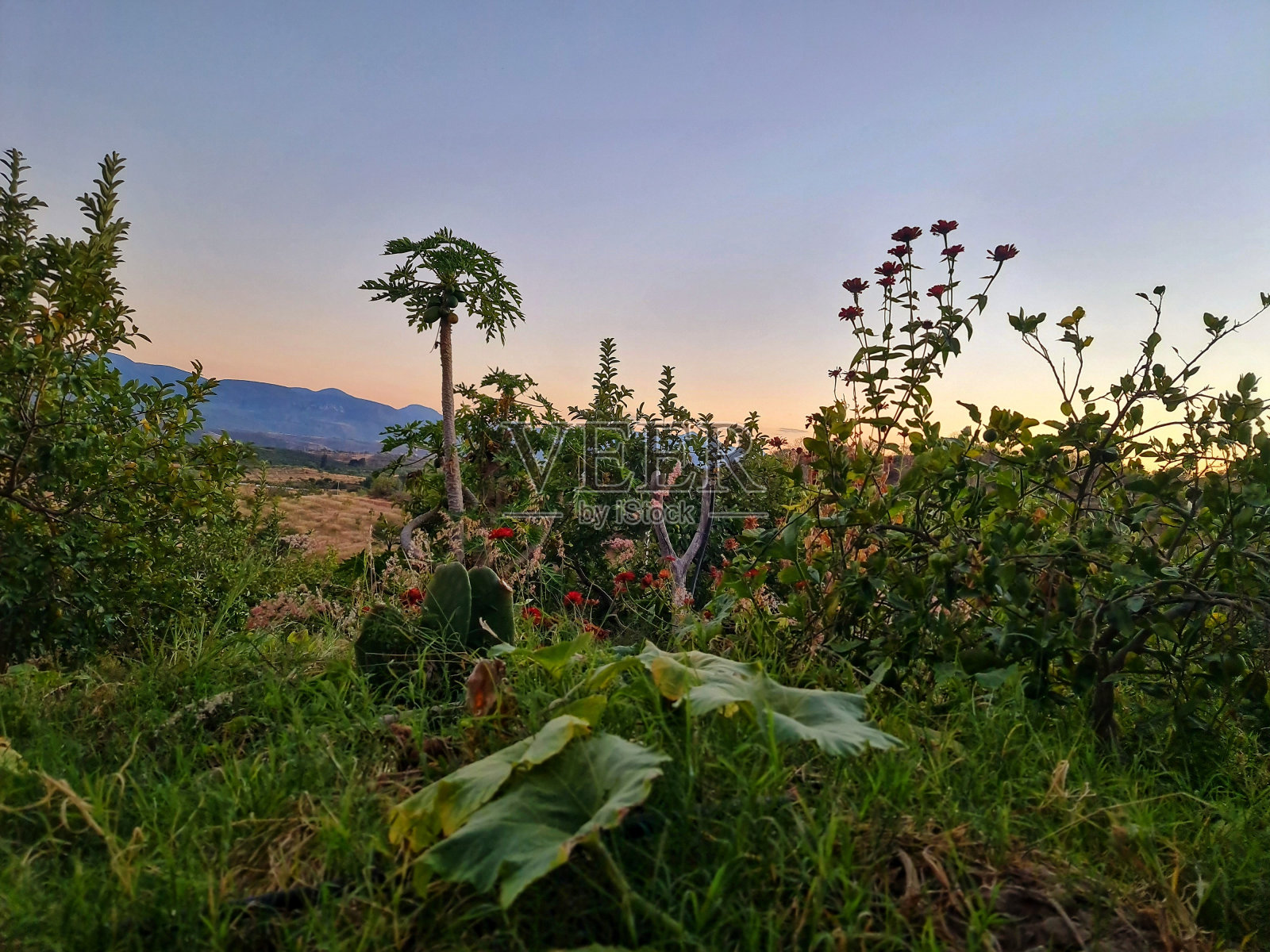 视图照片摄影图片