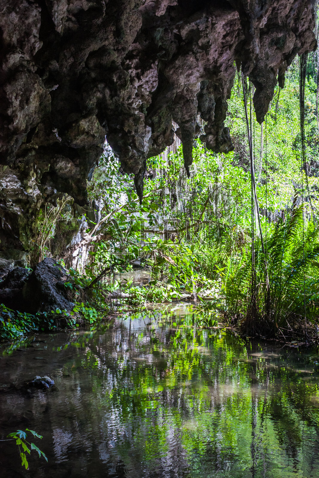 从丛林中的水洞出来，来到一个被群山环绕的小湖泊。美丽的热带自然。有热带水源的洞穴。照片摄影图片