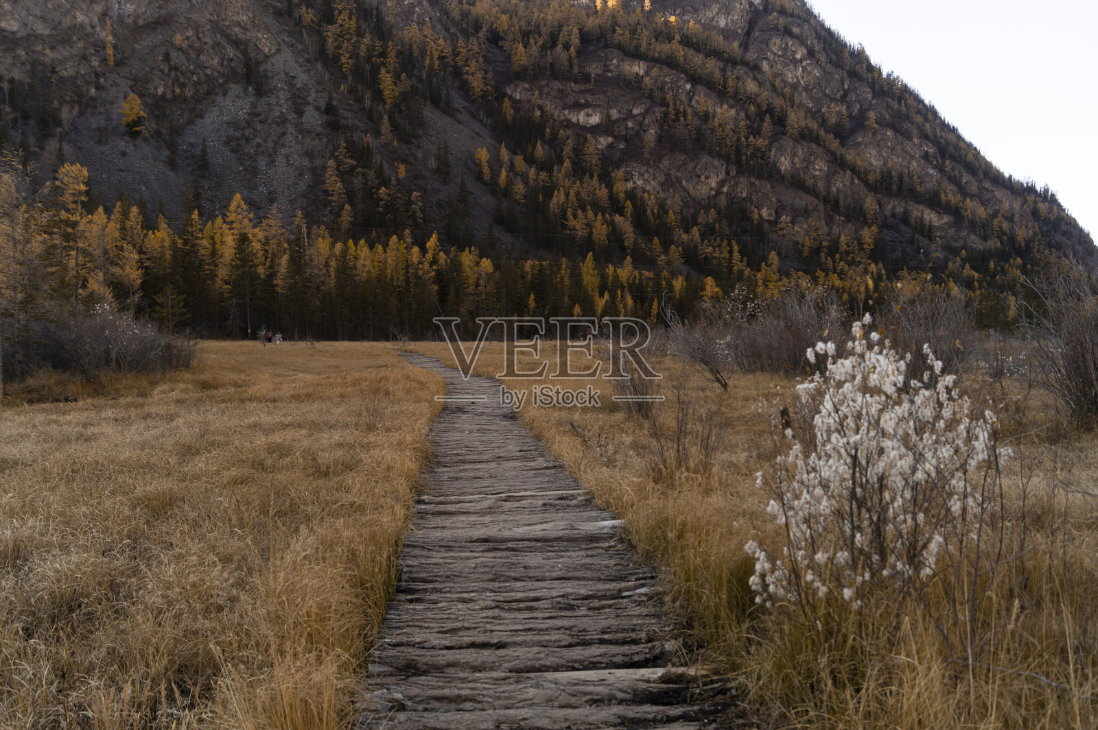 通往沉默之路照片摄影图片