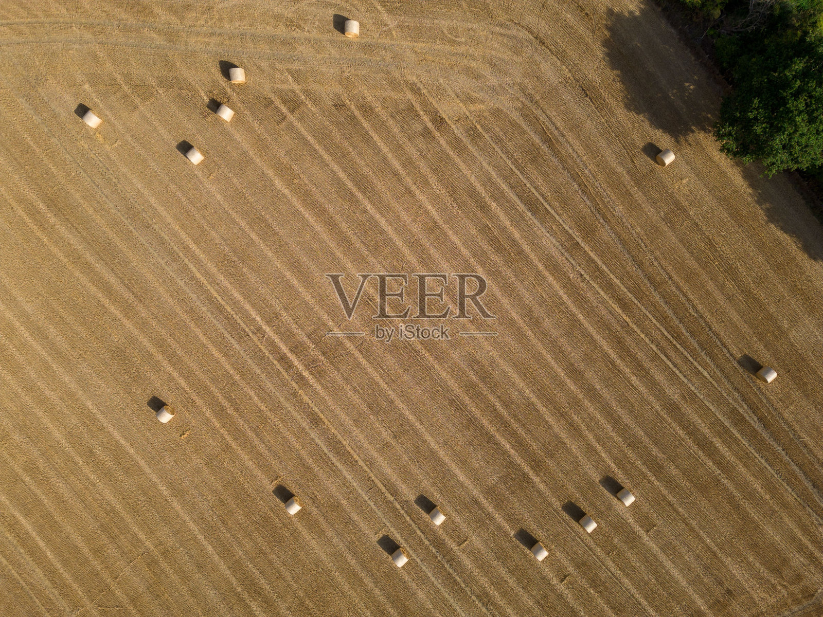 航拍的干草卷在一个干燥的收获领域照片摄影图片